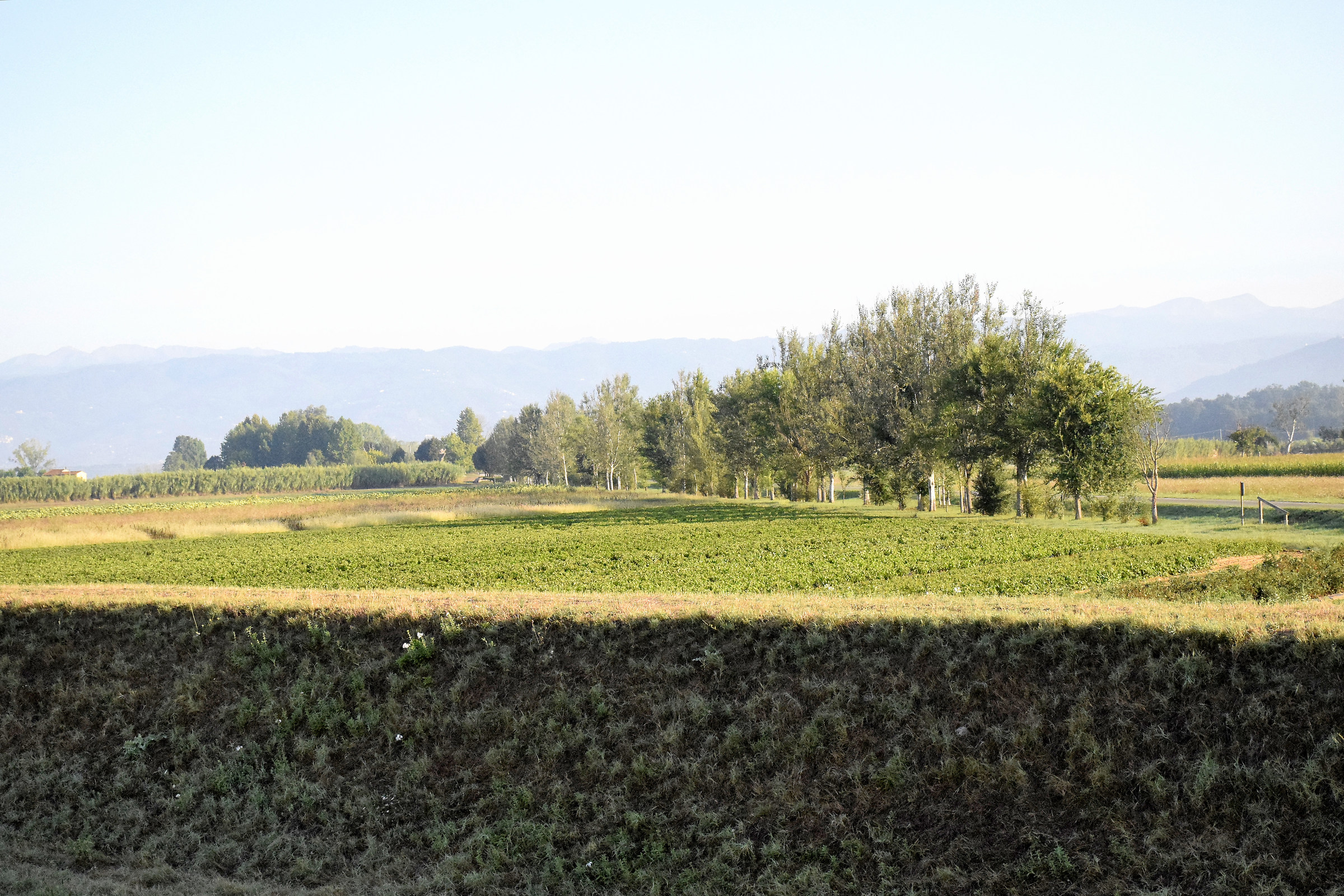 From the bank into the country