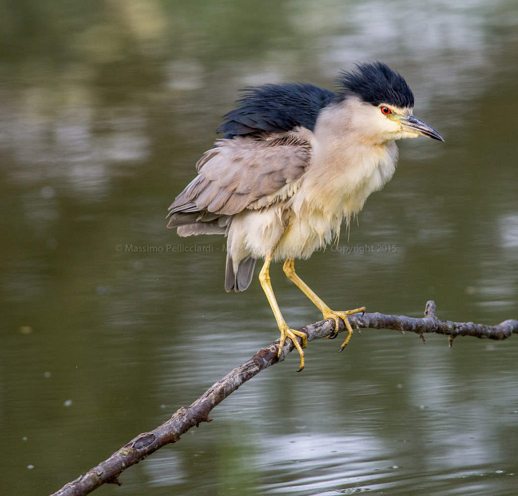 Una ventata di freschezza