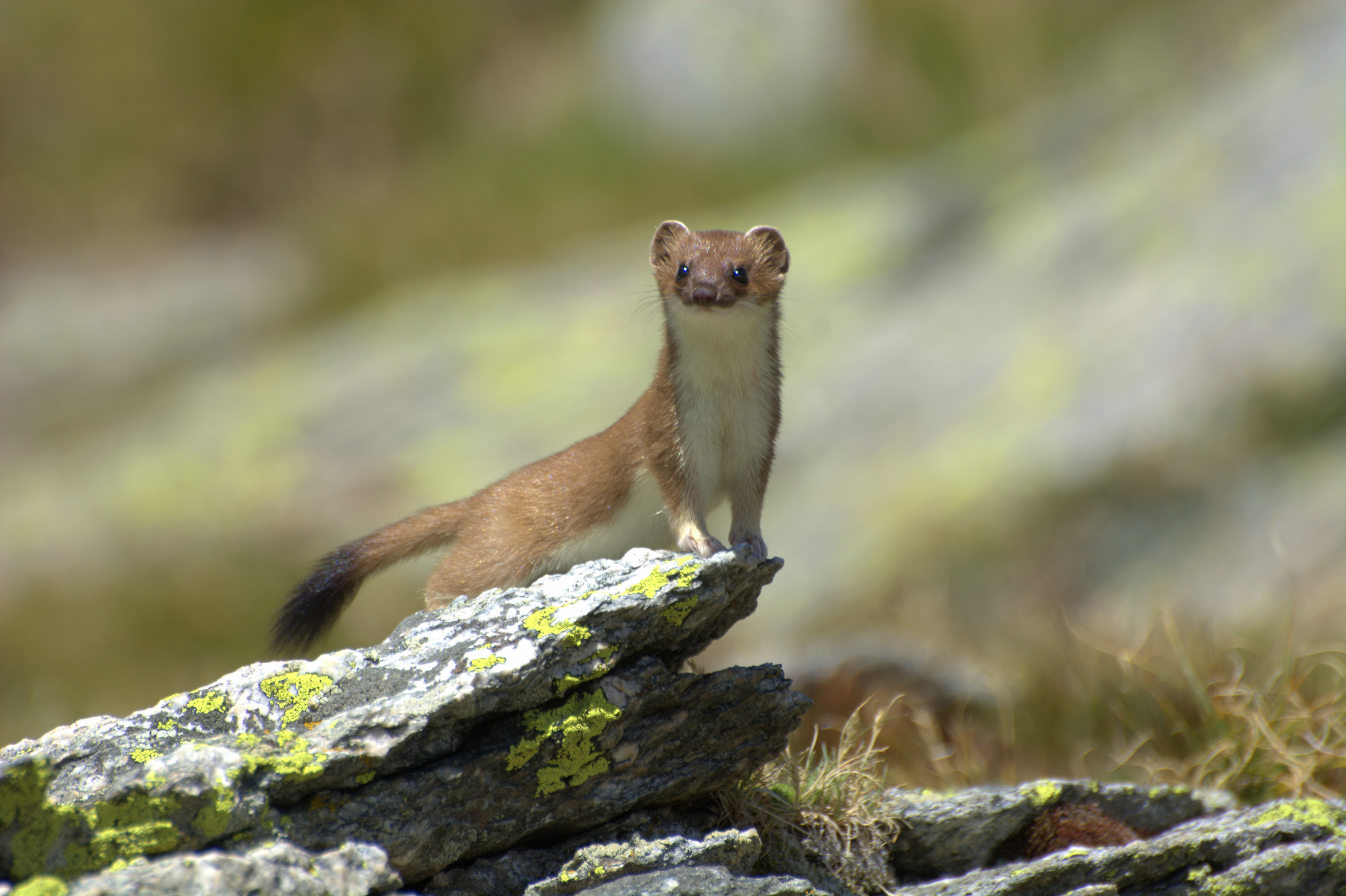 Una giornata meravigliosa
