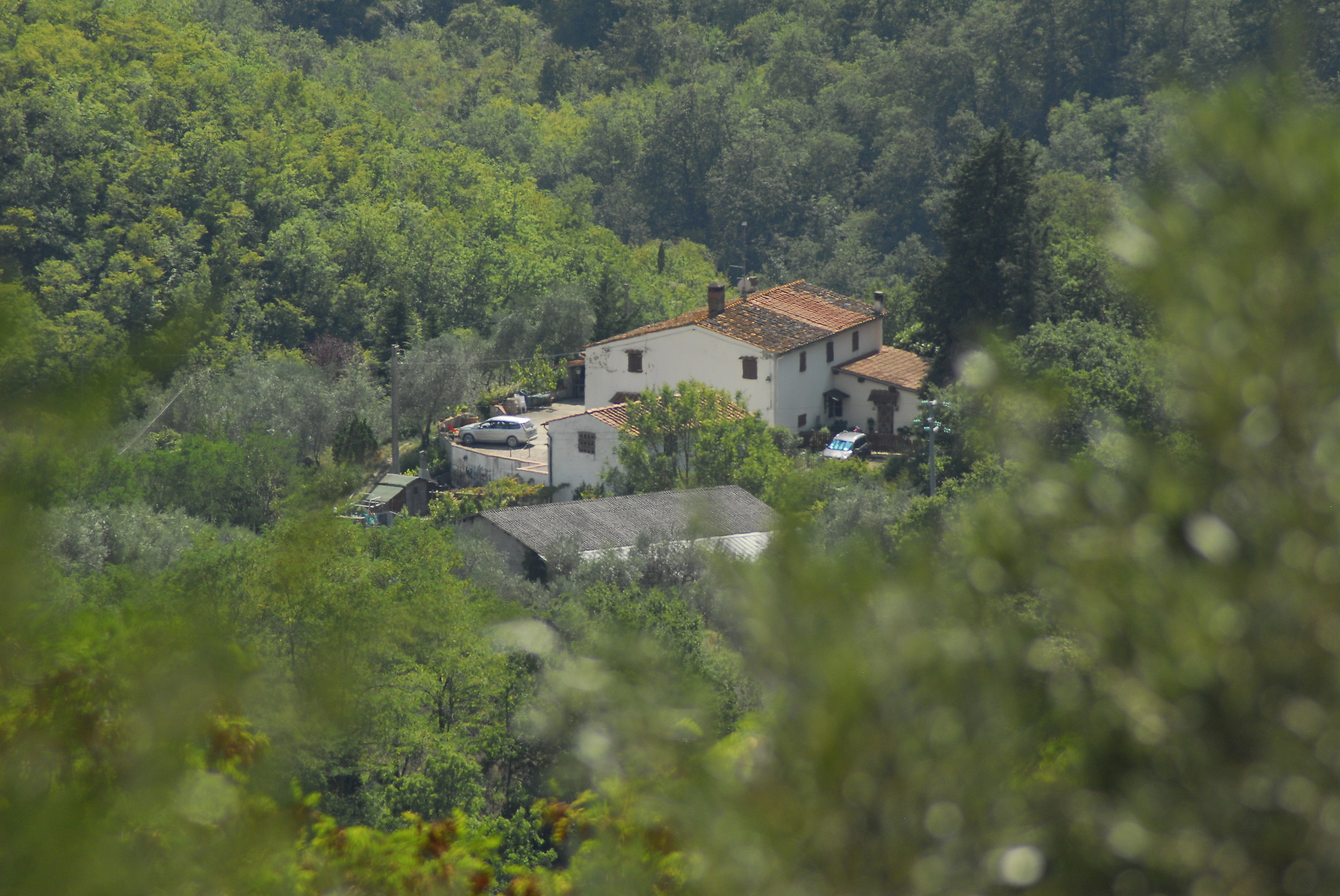 the house in the green