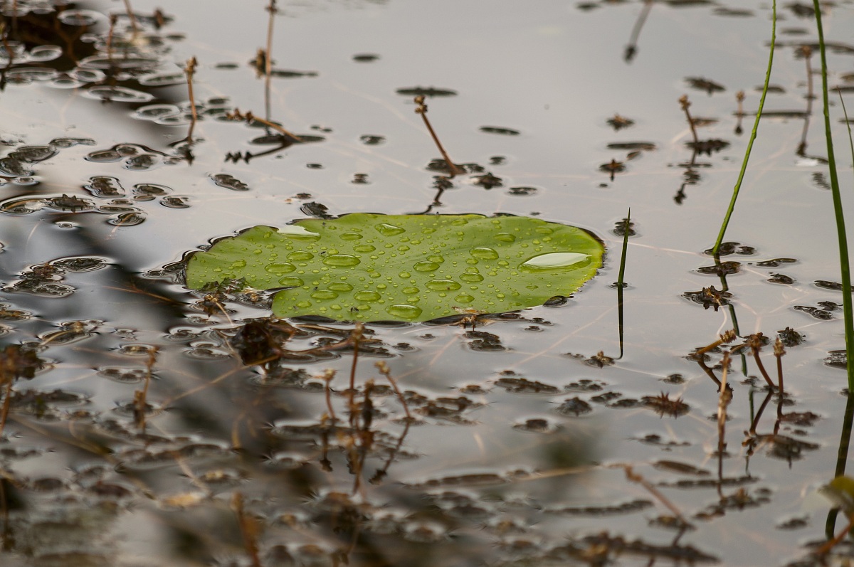 quiete dopo la tempesta