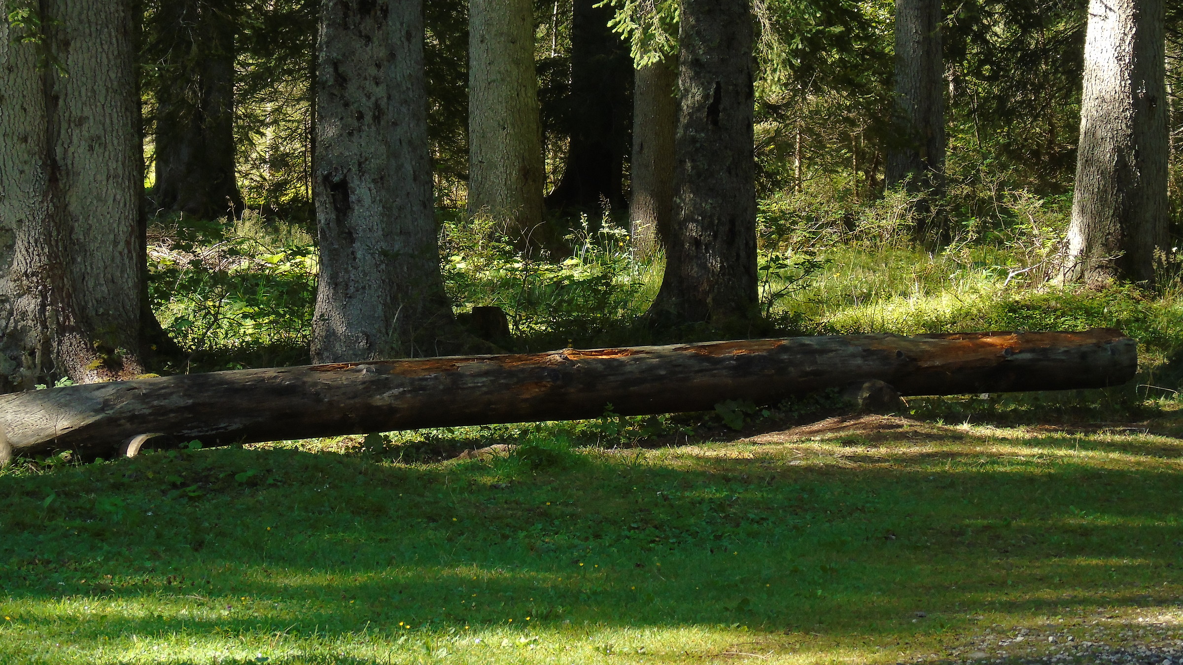 To Niagara Gares (bl) 2