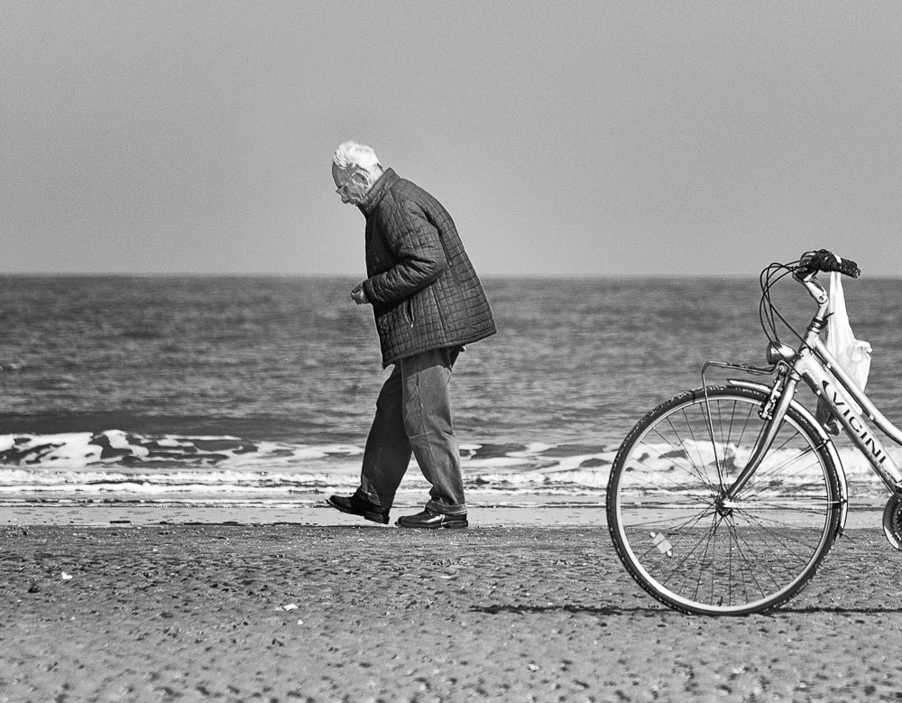 Ator sought shells II