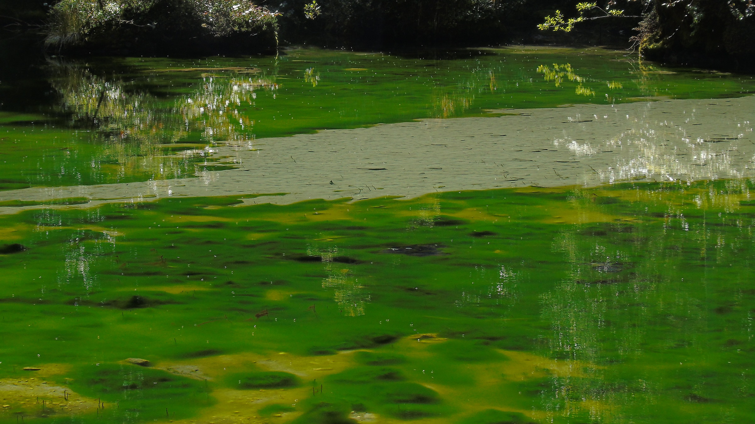 The pond Gares (bl) 3