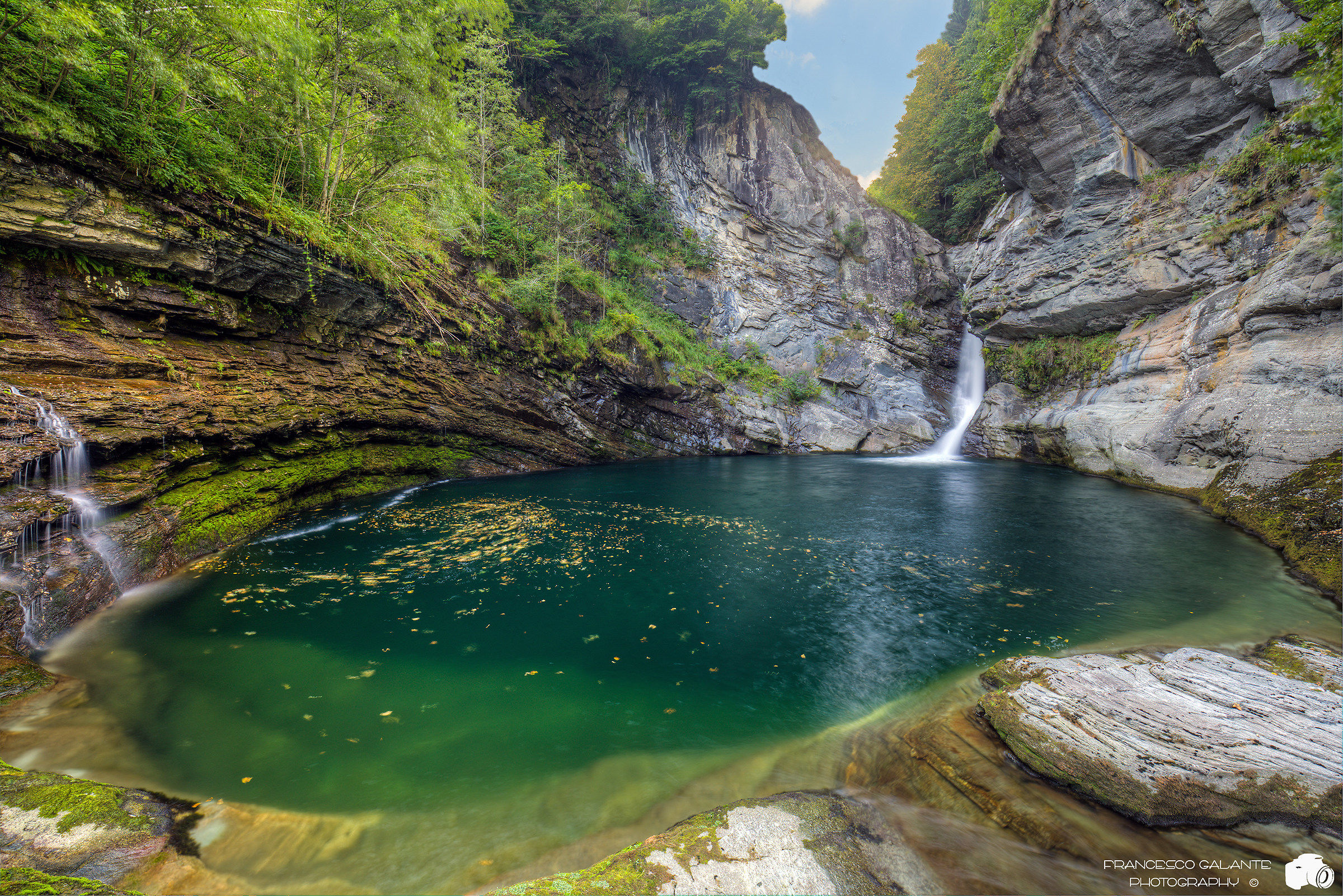 Fervento - Cascaa Bus