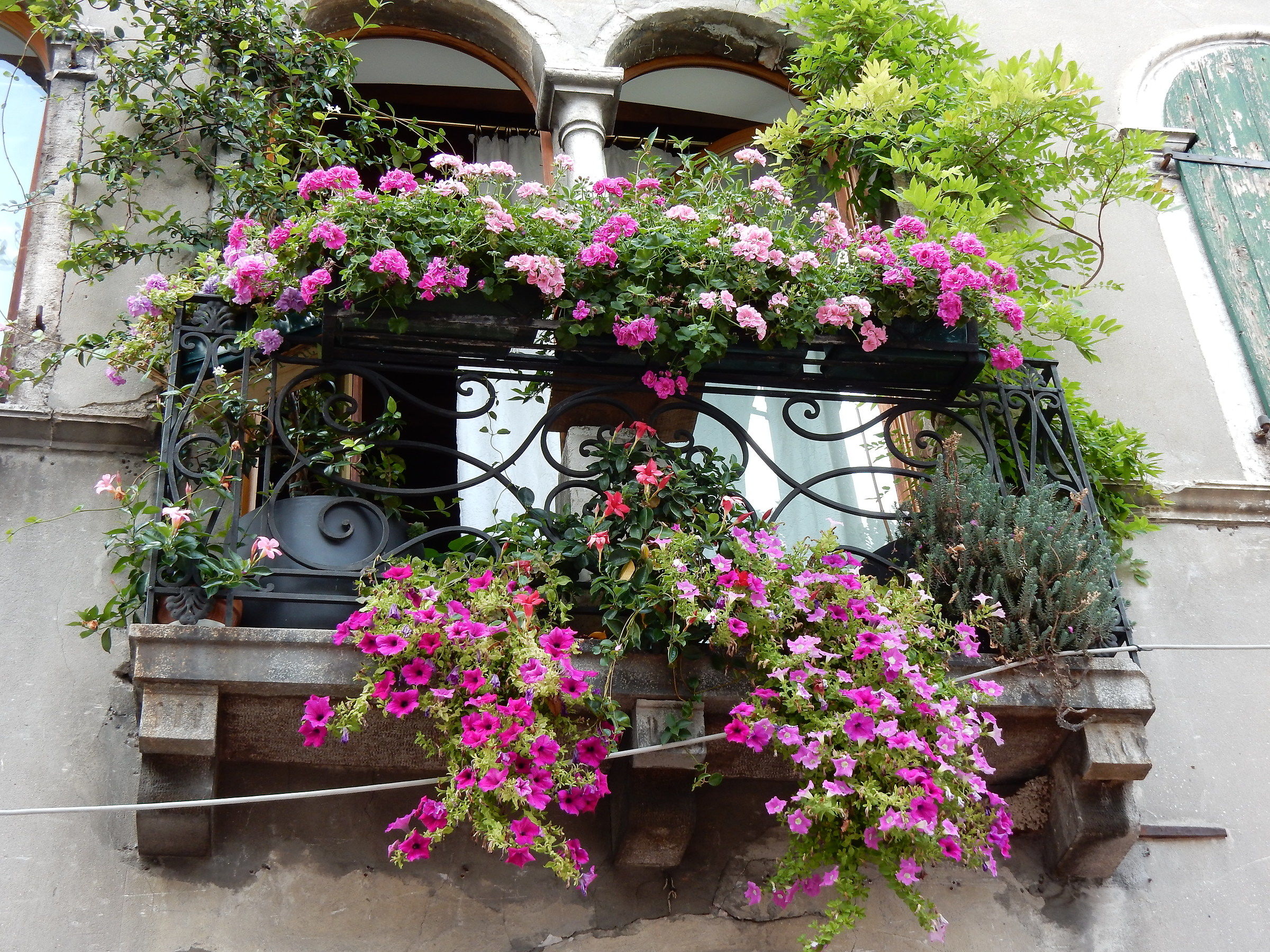 Urban visions of Feltre (bl) 7