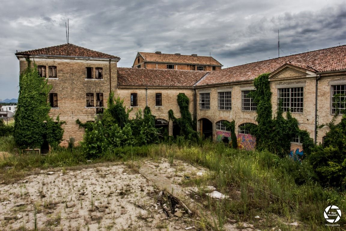 An abandoned paper mill