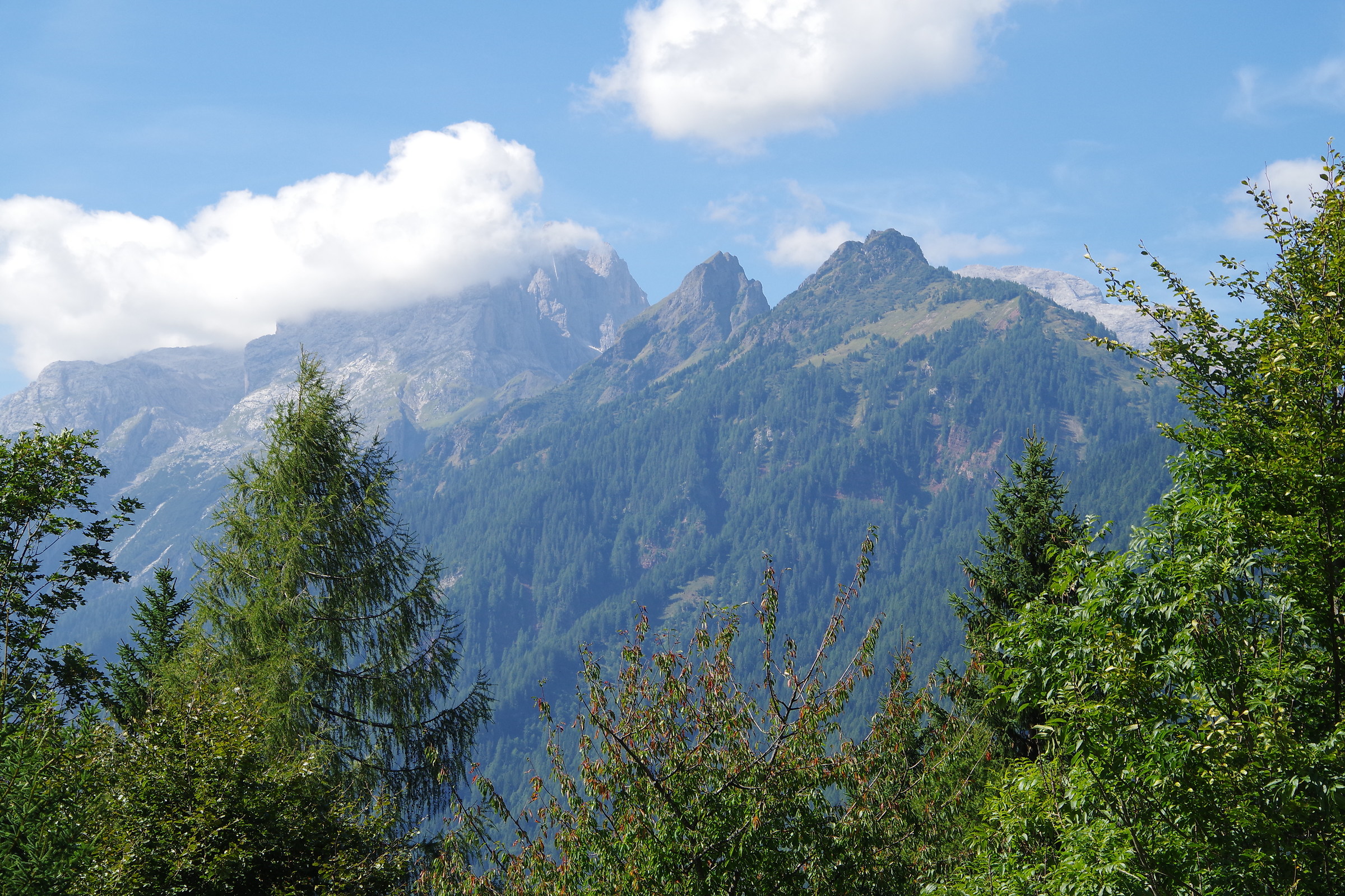 Panorama dolomitico da Vallada Agordina (bl)