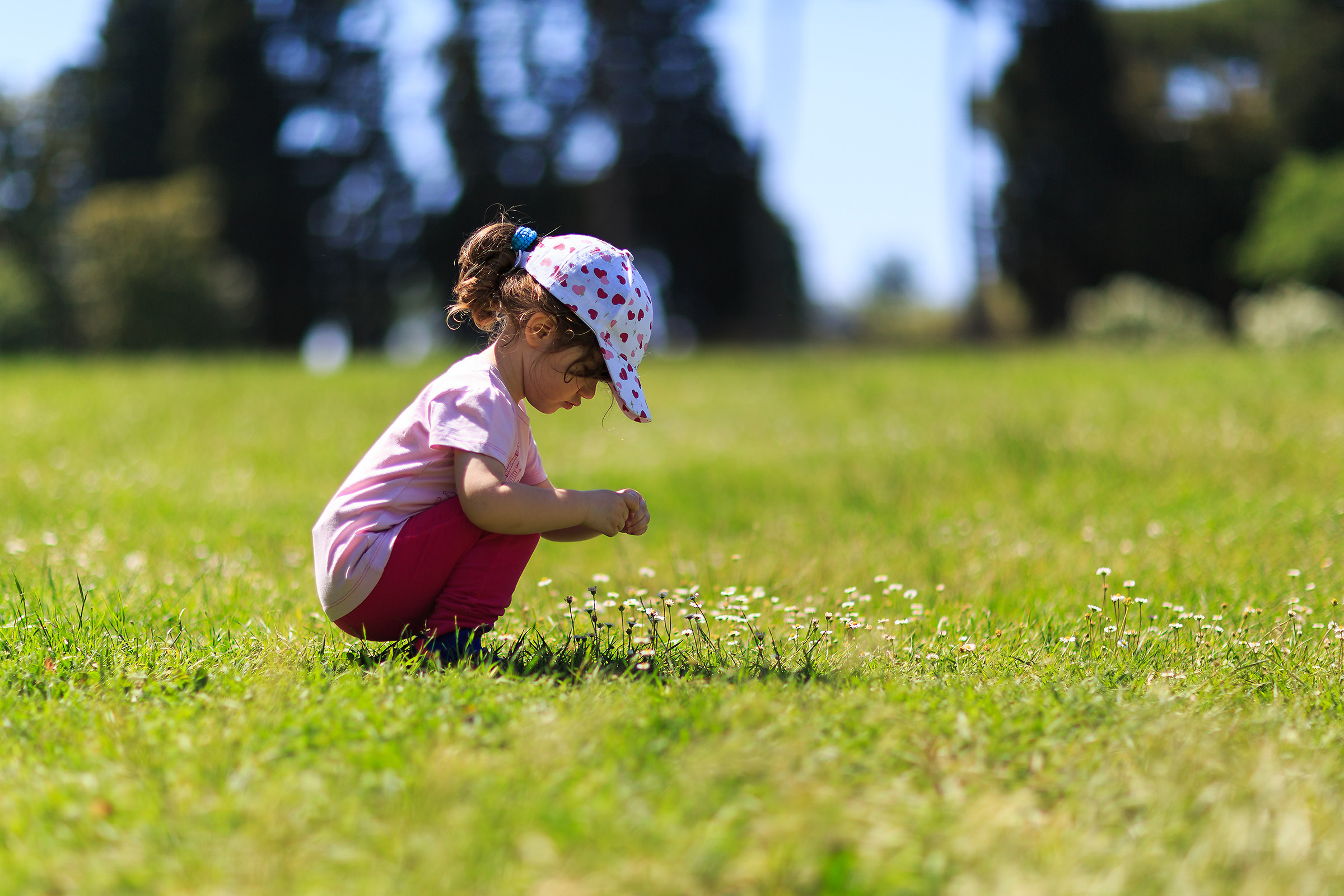 Cacciatrice di Margherite