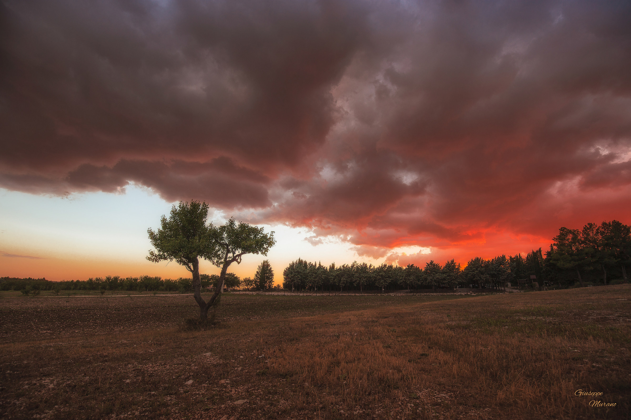 Sorpreso dalla magia dei colori che la natura dona...