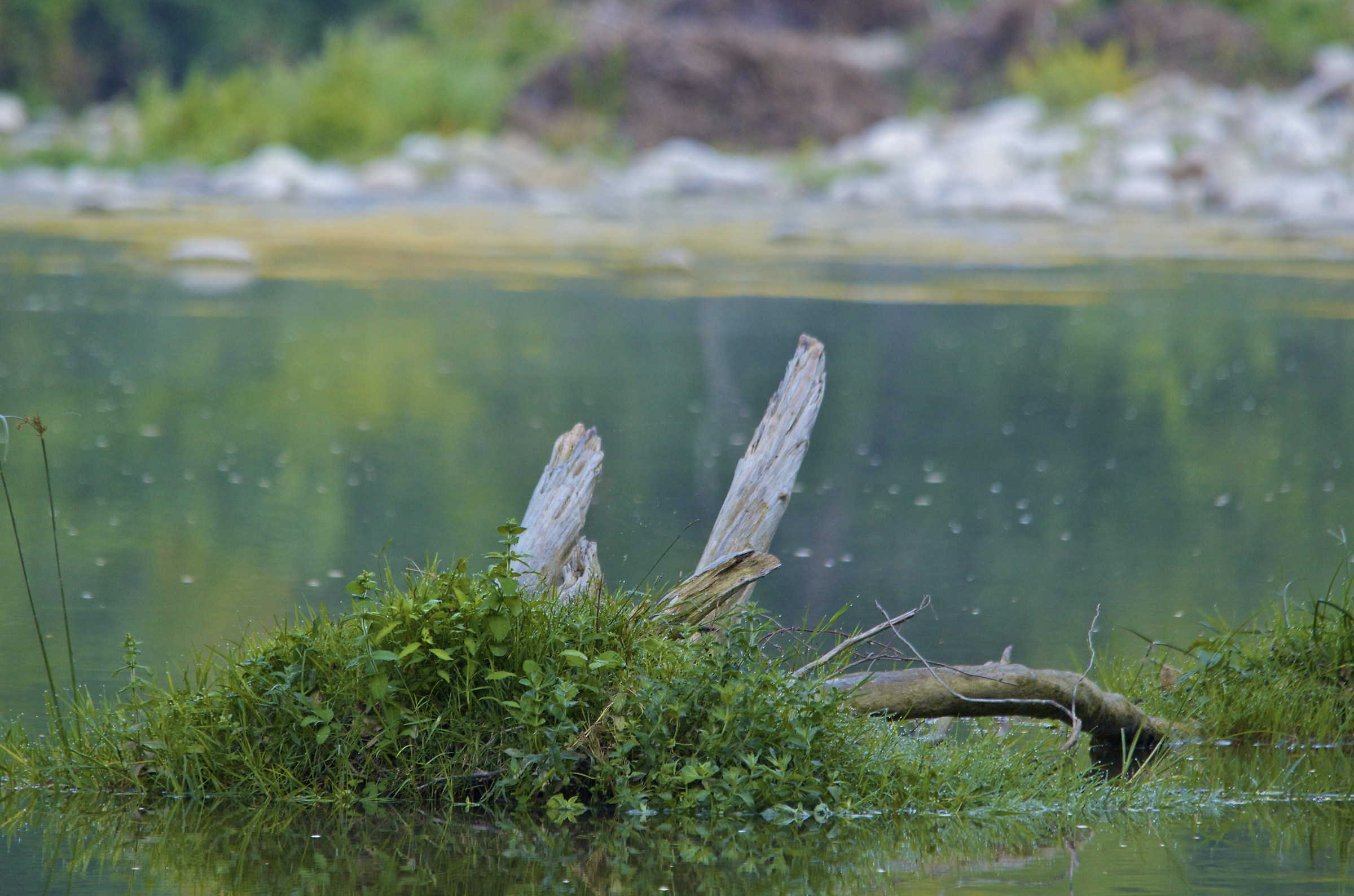 Impara l'arte........ e mettila da parte