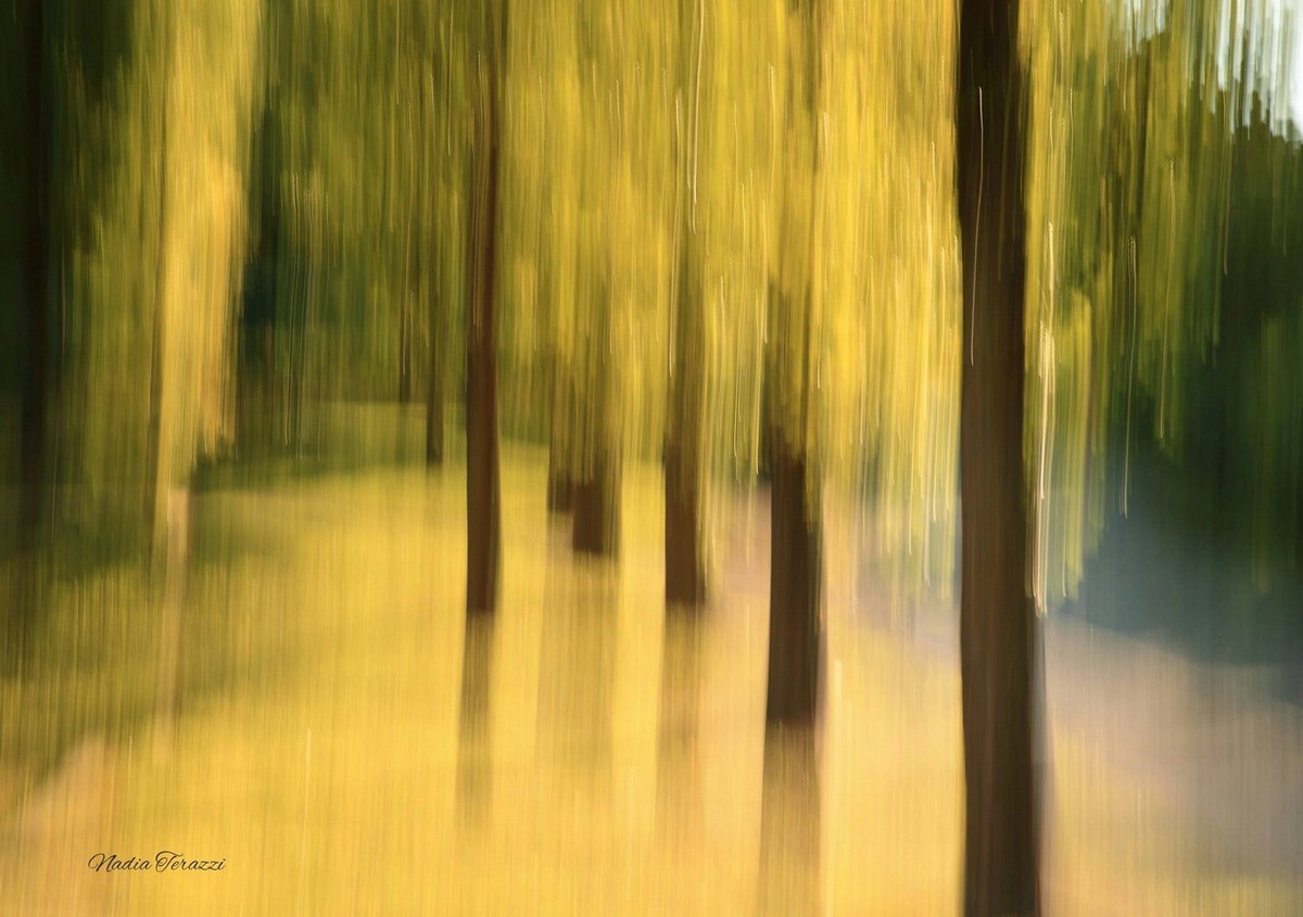 brushstrokes of light