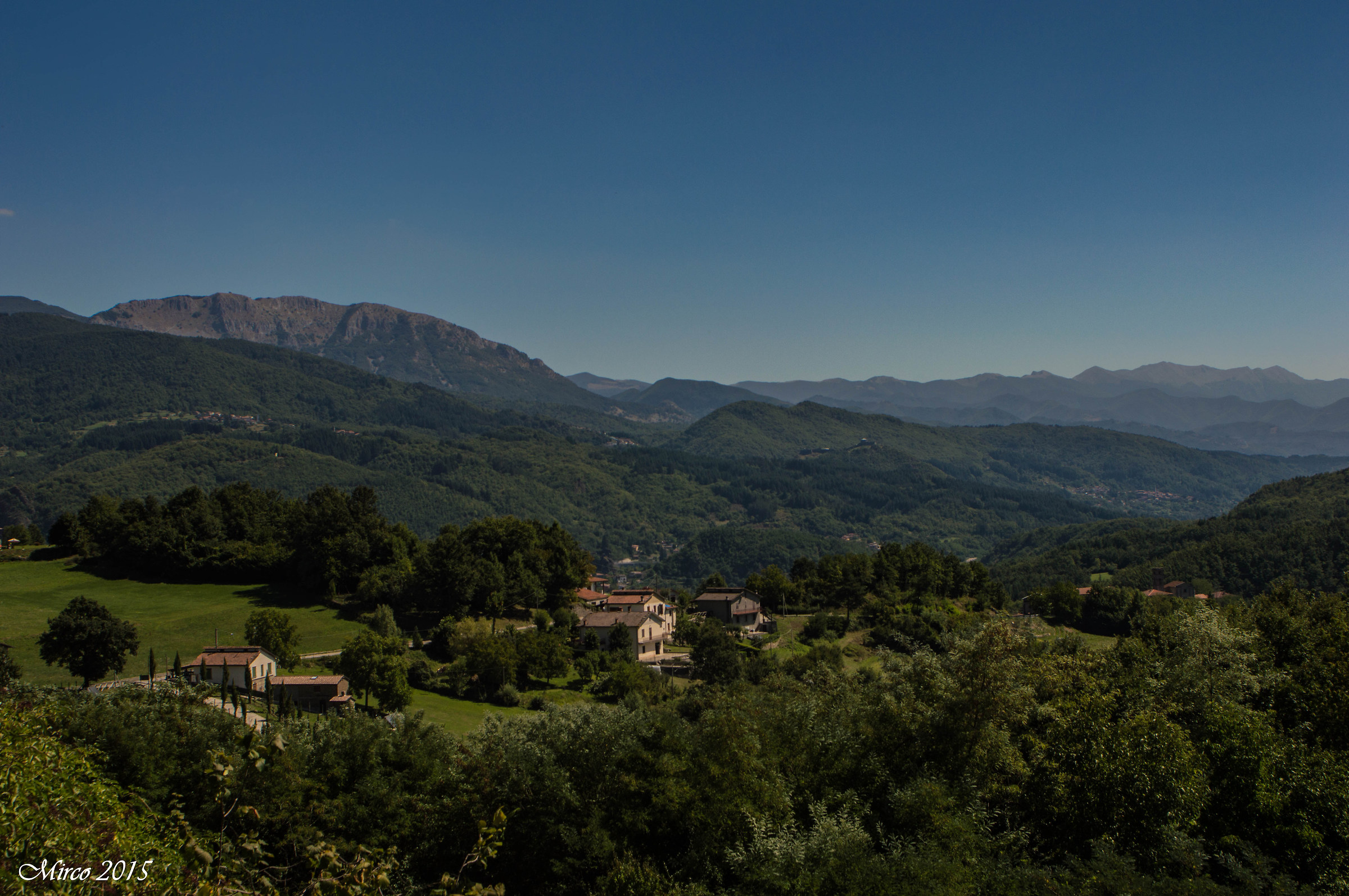 Immerso nella natura