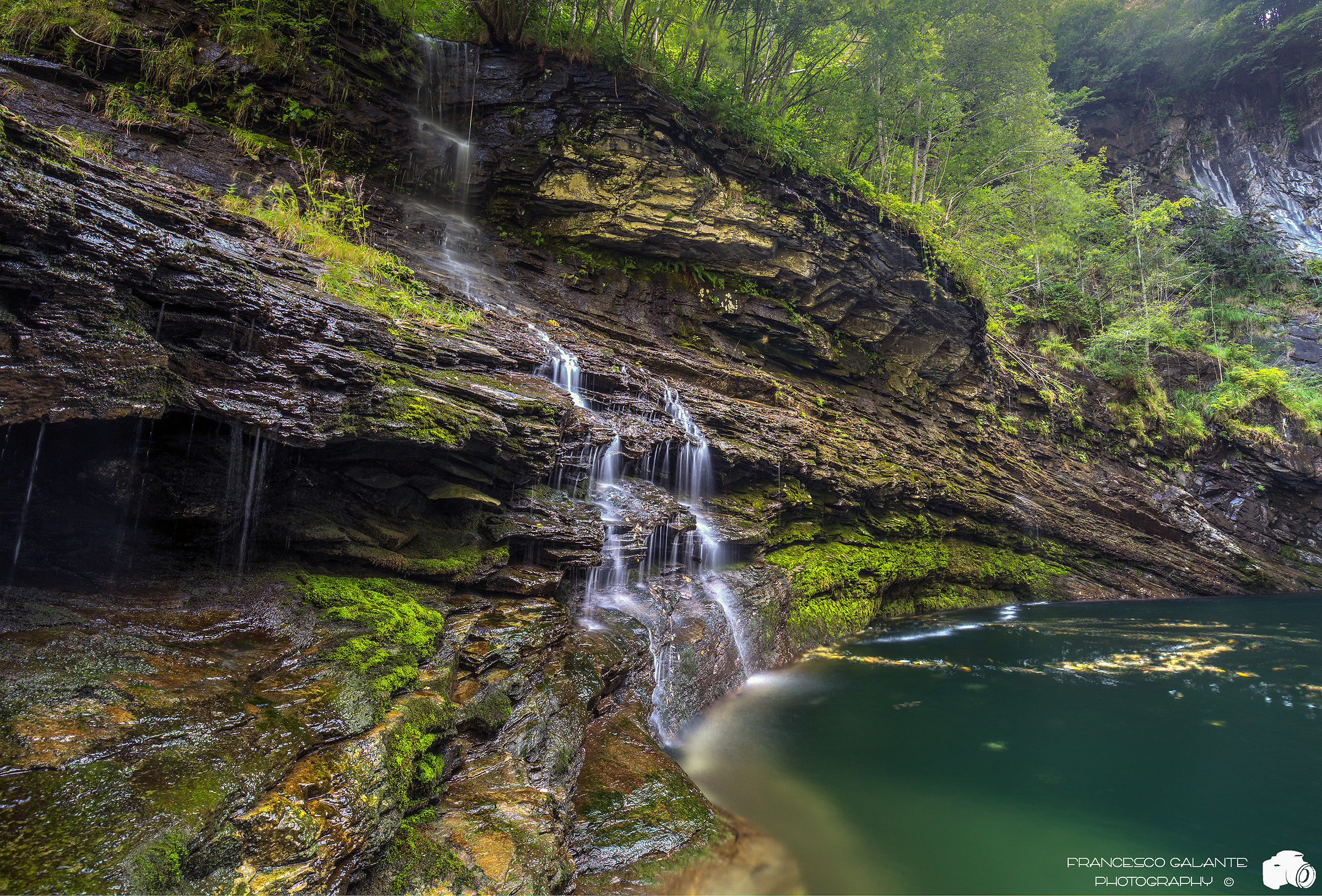 Fervento - Another Perspective to Cascaa Bus