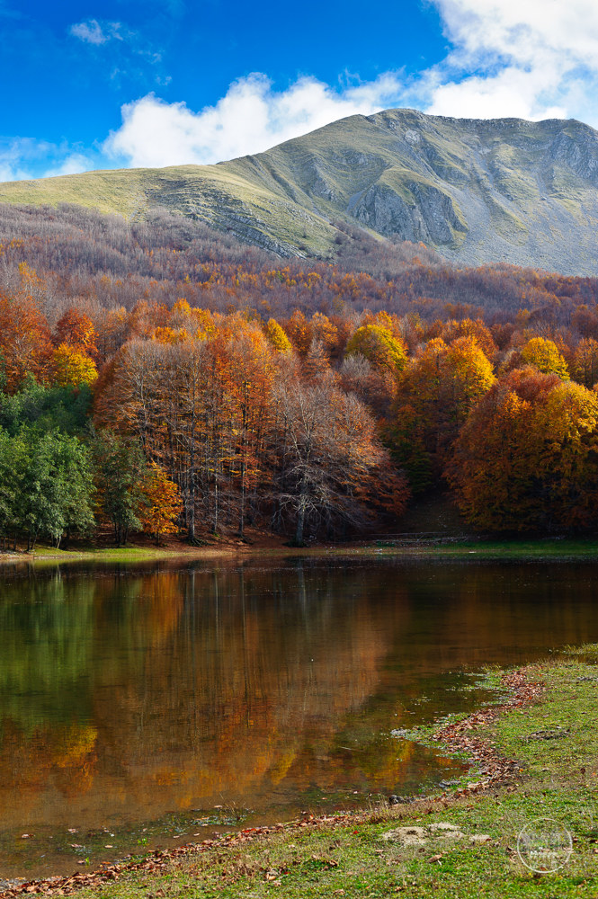 M. Sirino e Laudemio Lago