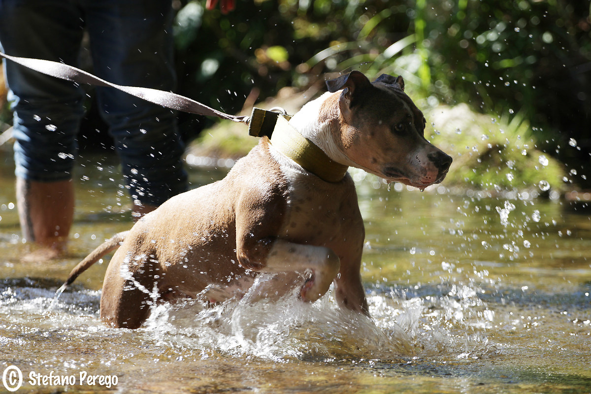 Beauty and cold water