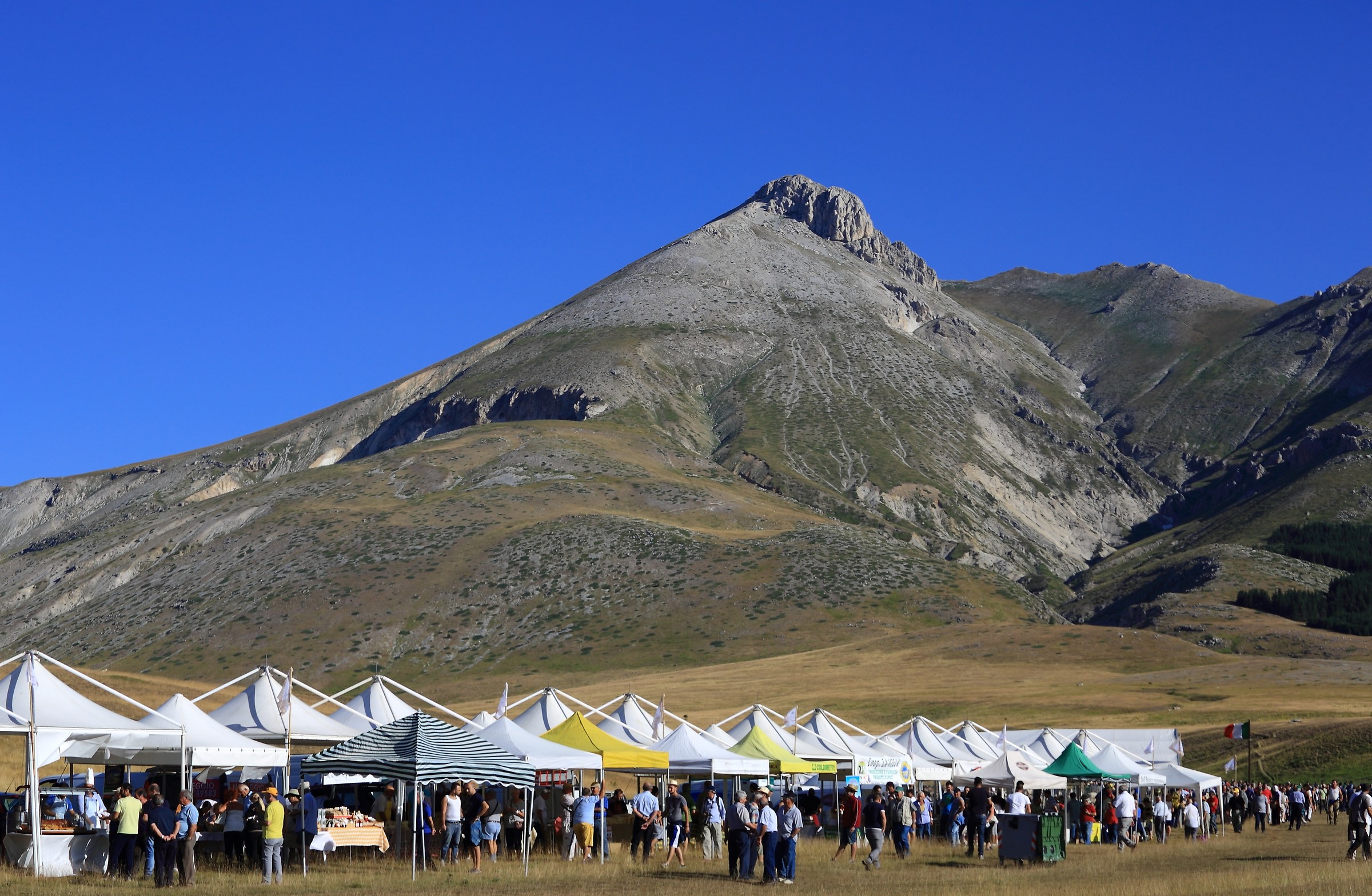 Review herding Campo Imperatore 2015-