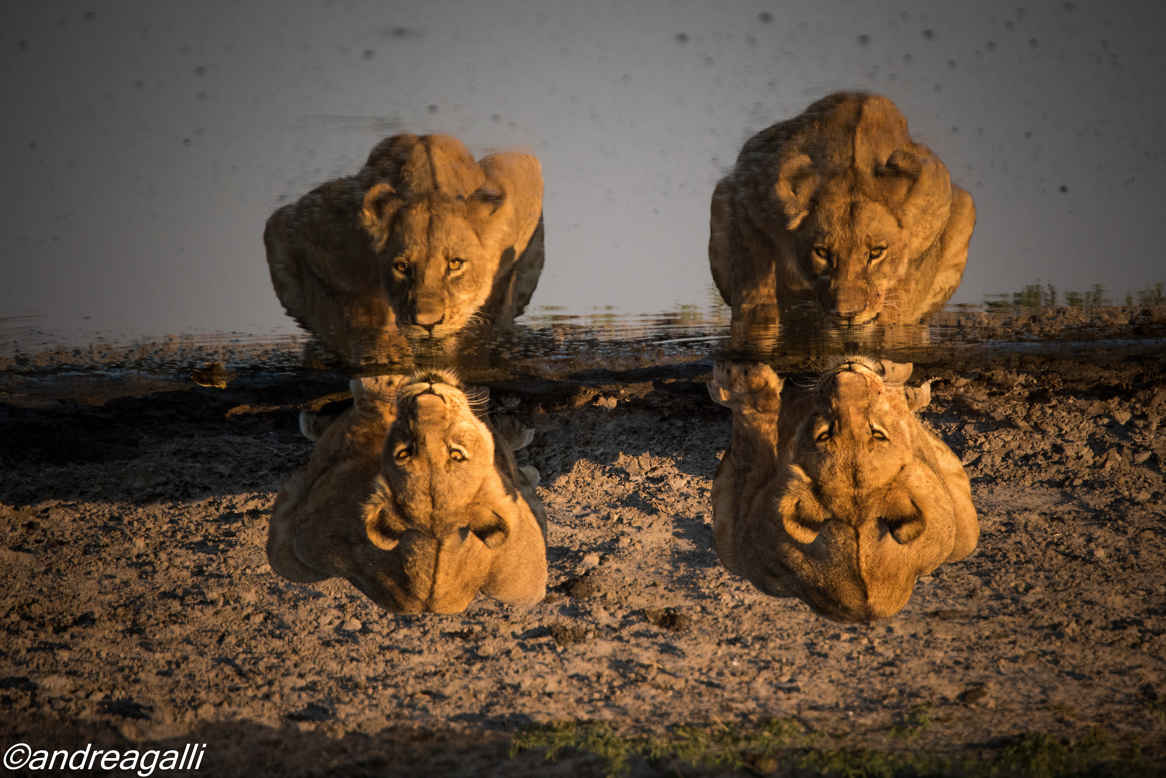 upside down reflection