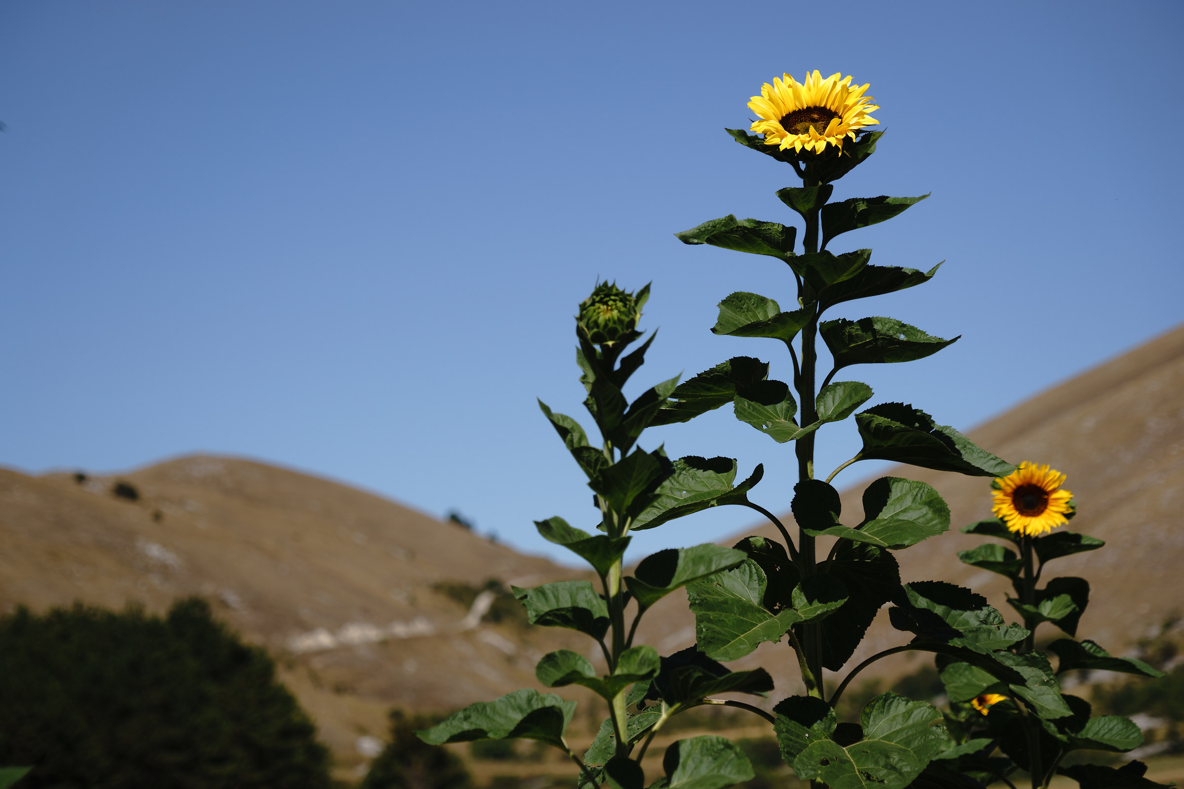 Santo Stefano di Sessanio - pond