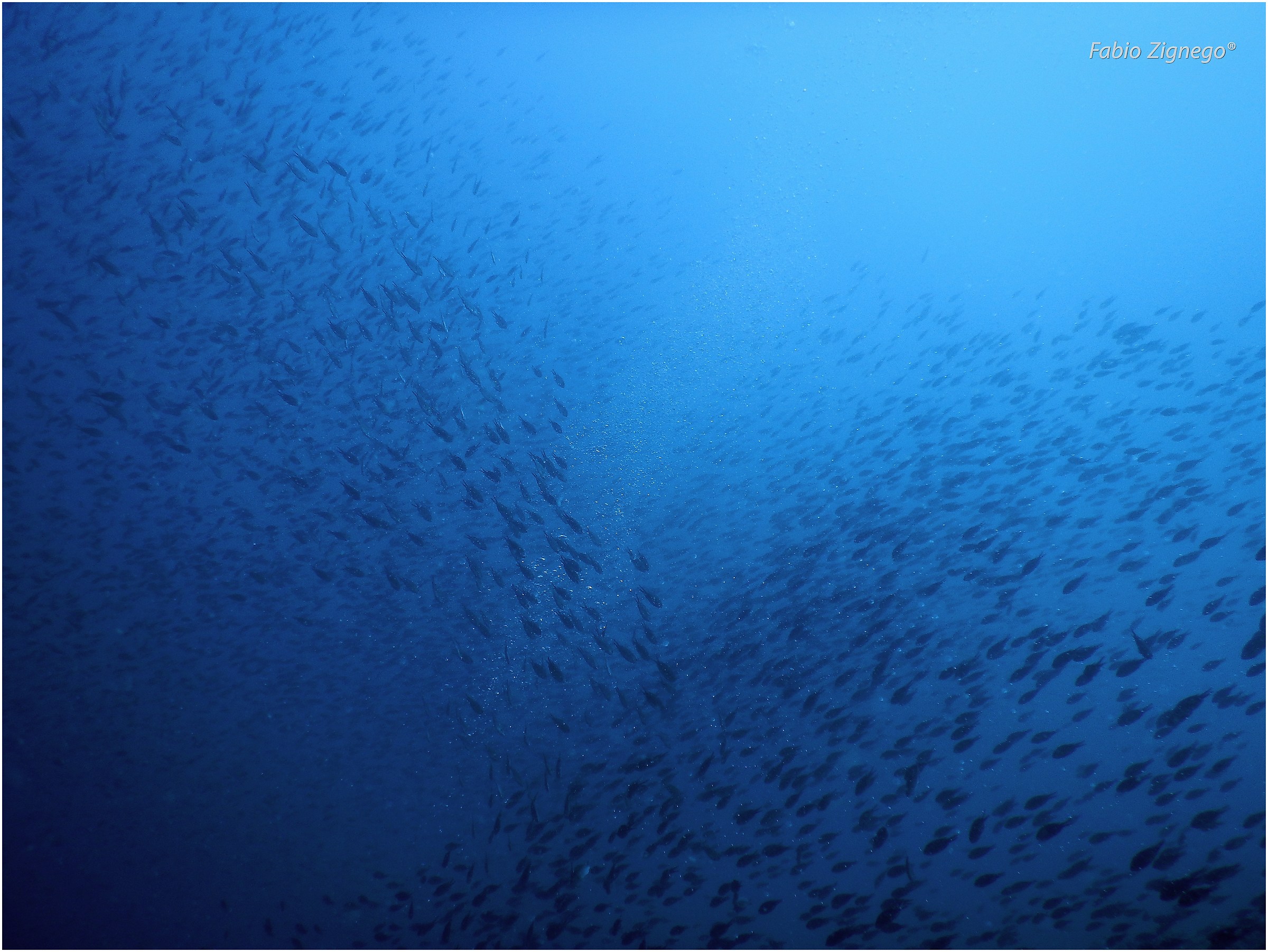 the blue painted blue