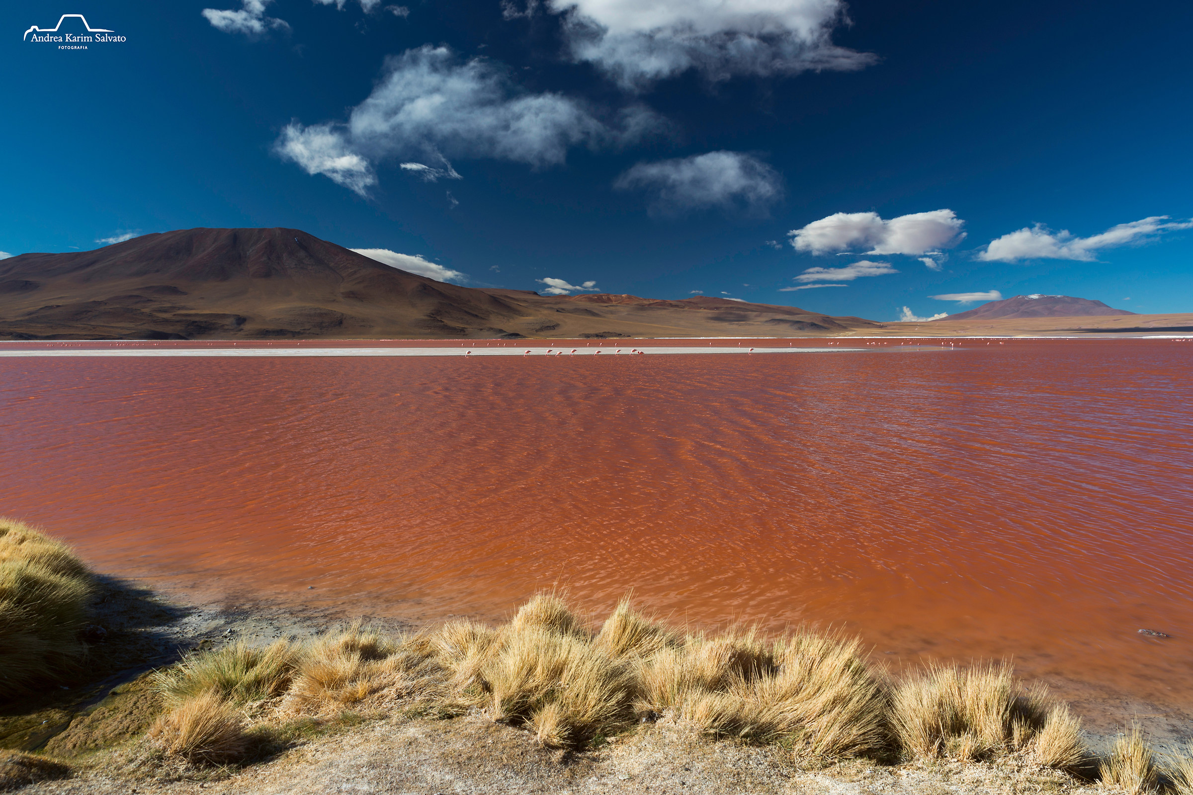 Laguna Colorada 1