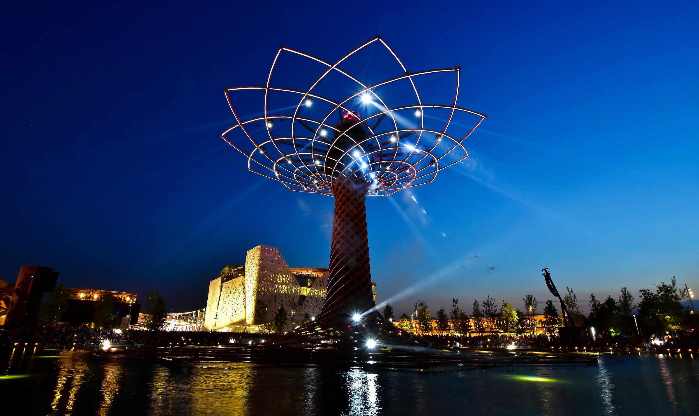 Expo "The Tree of Life"