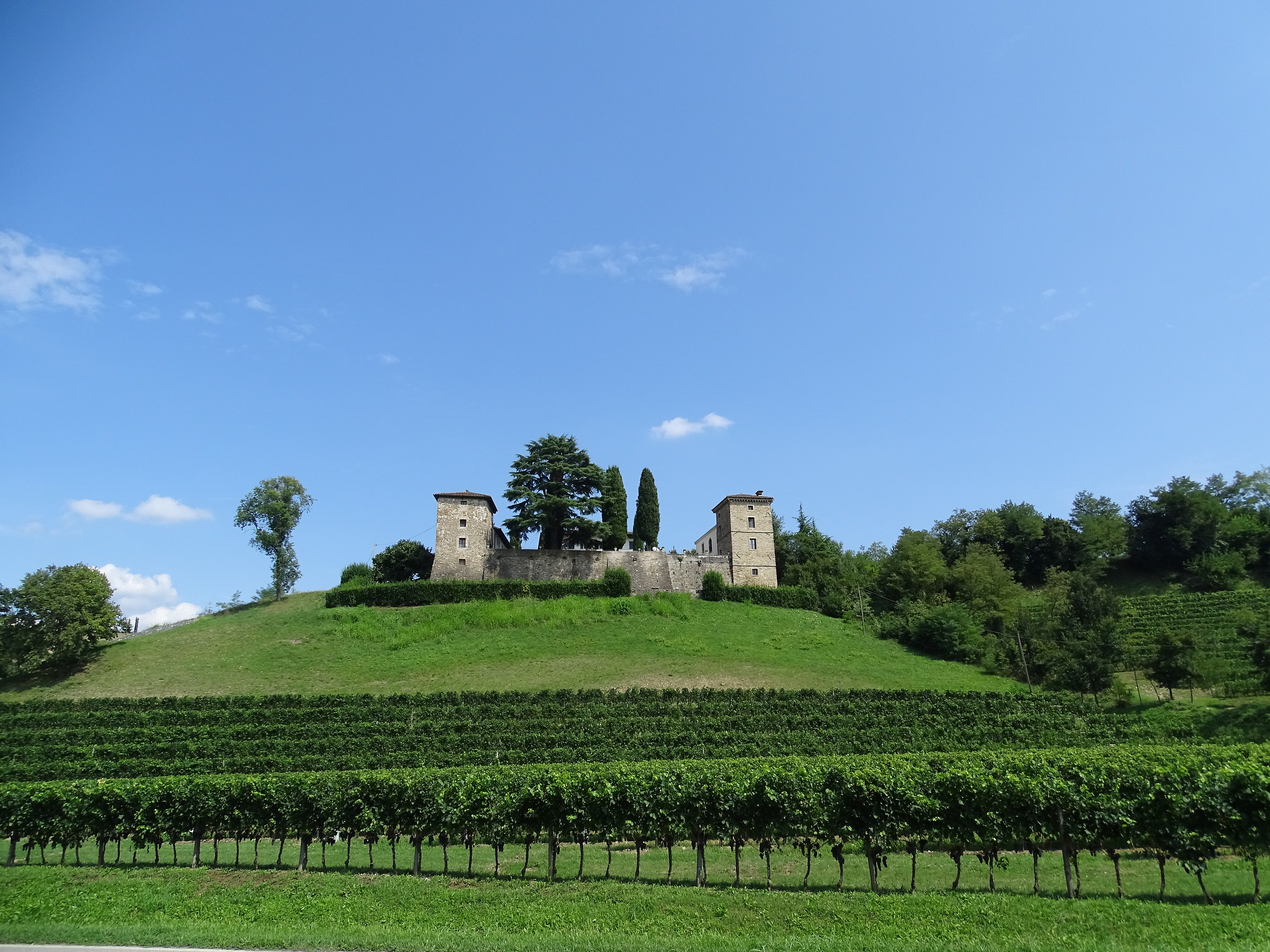 Production wines Collio