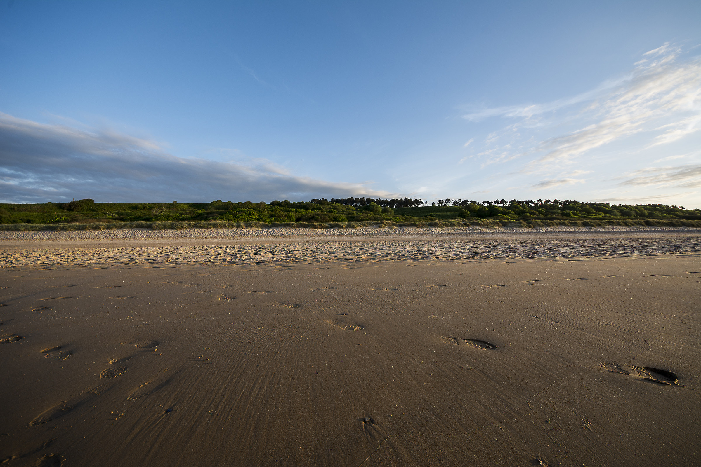Operation Landing at Omaha beach