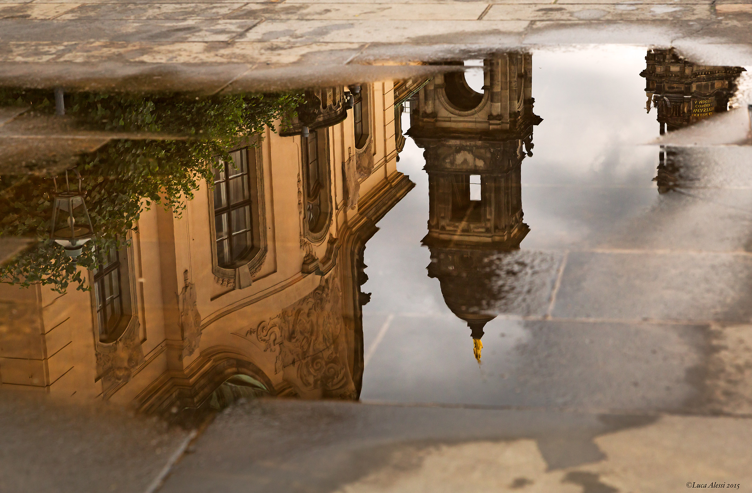 Dresden reflected