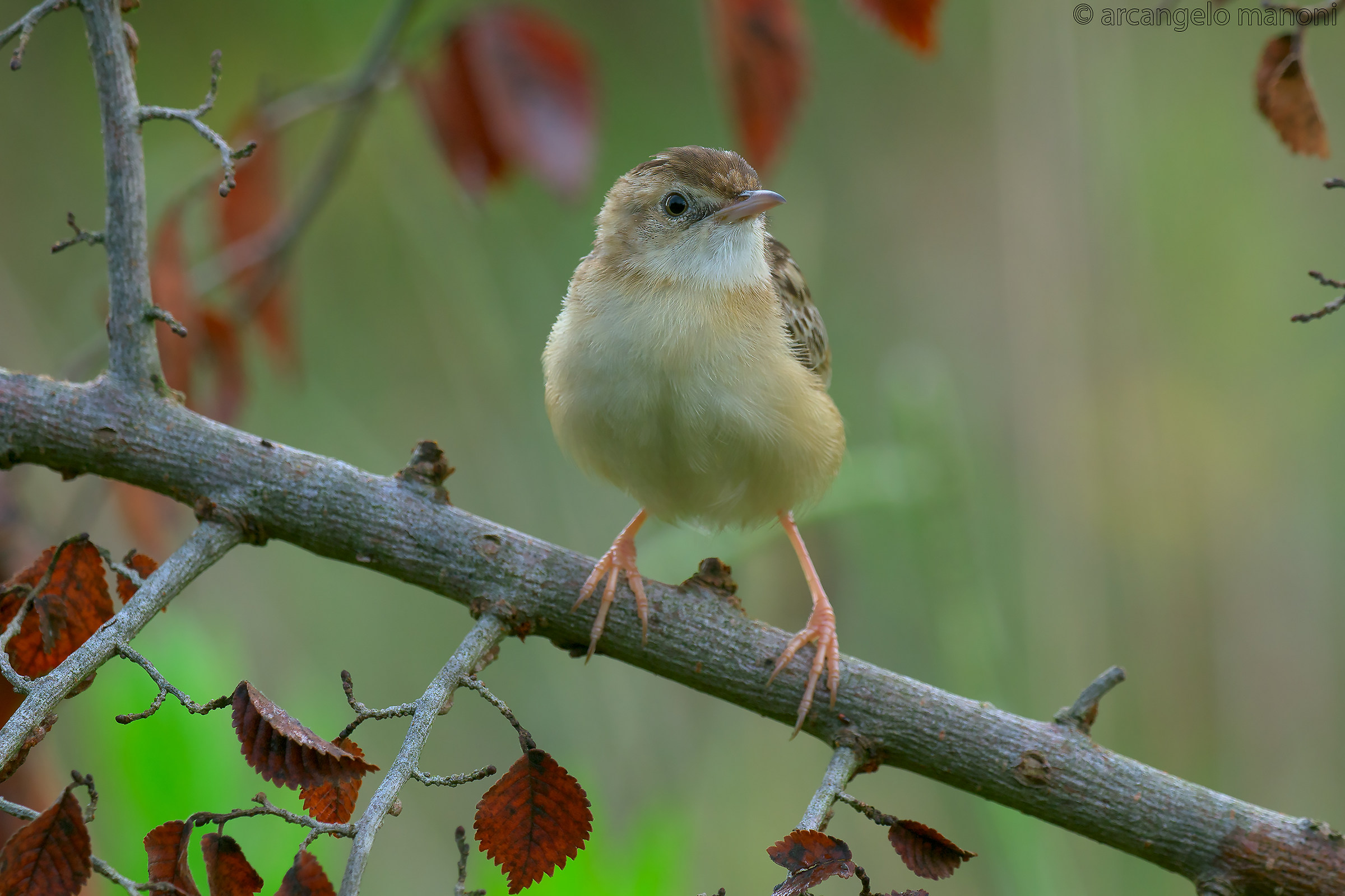 In front of his natural environment