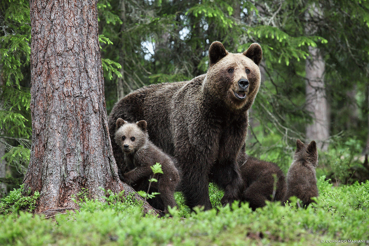 La famiglia al completo pt. 2