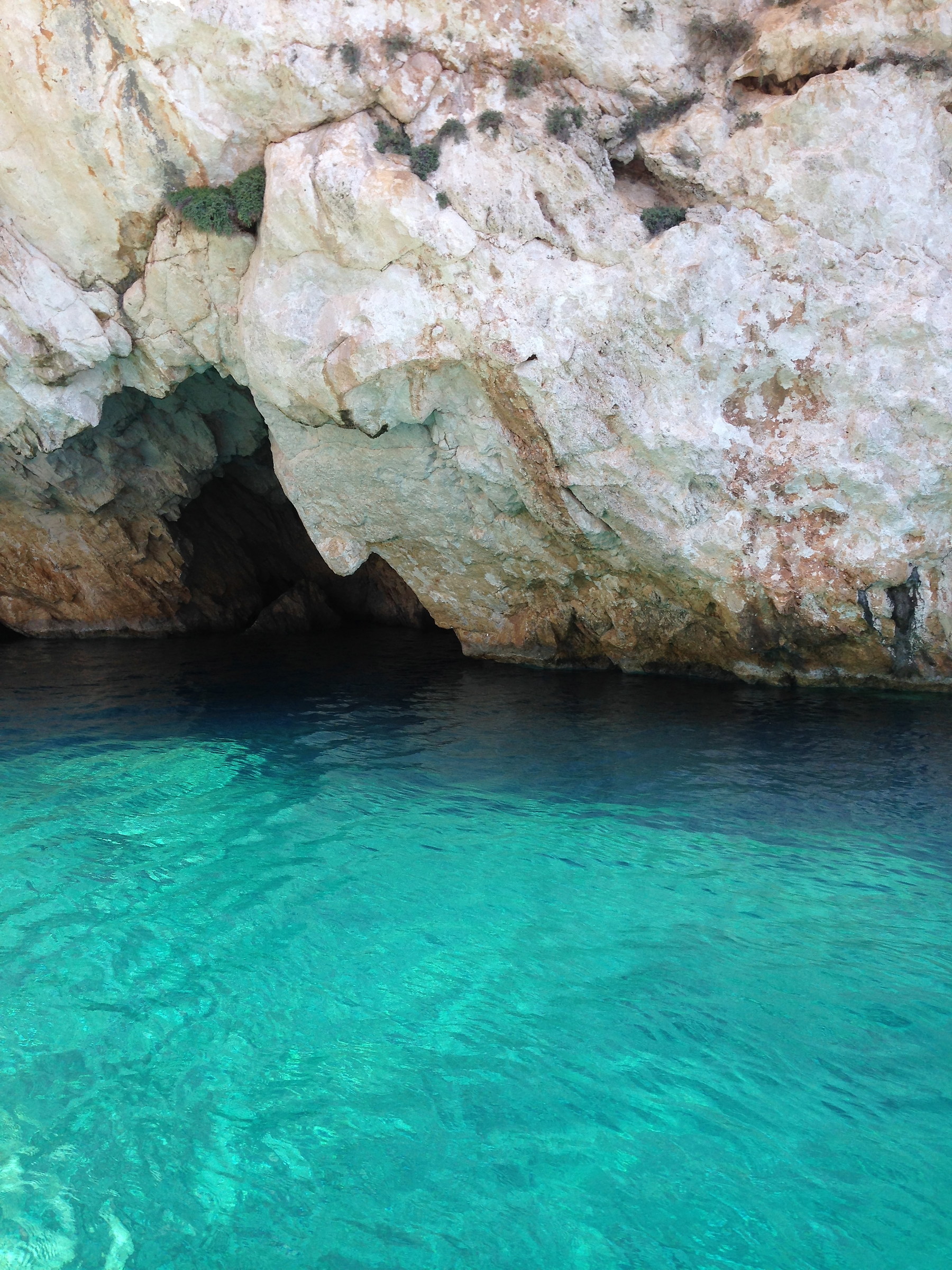 Profilo di Poseidone