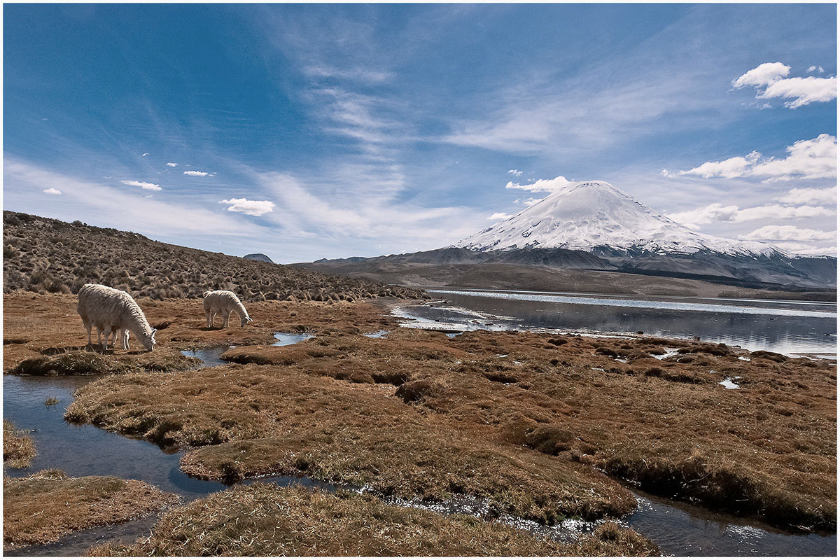 vulcano parinacota cile