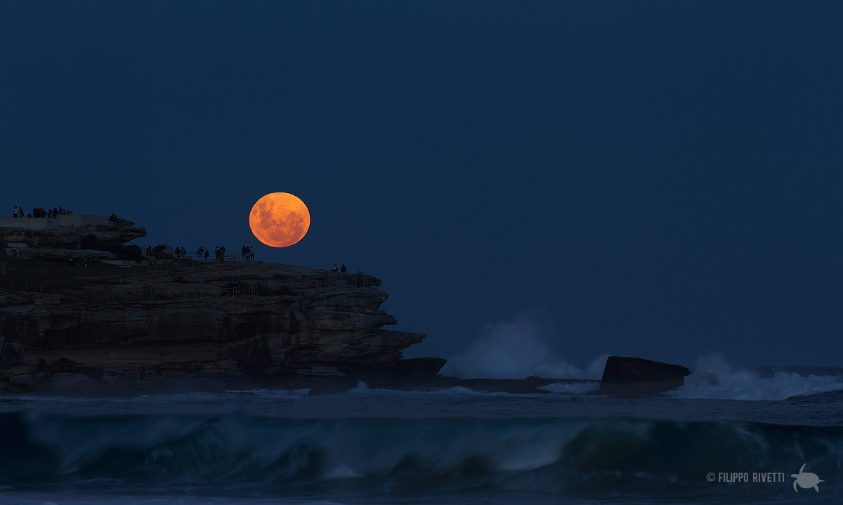 Bondi :: Super Moon