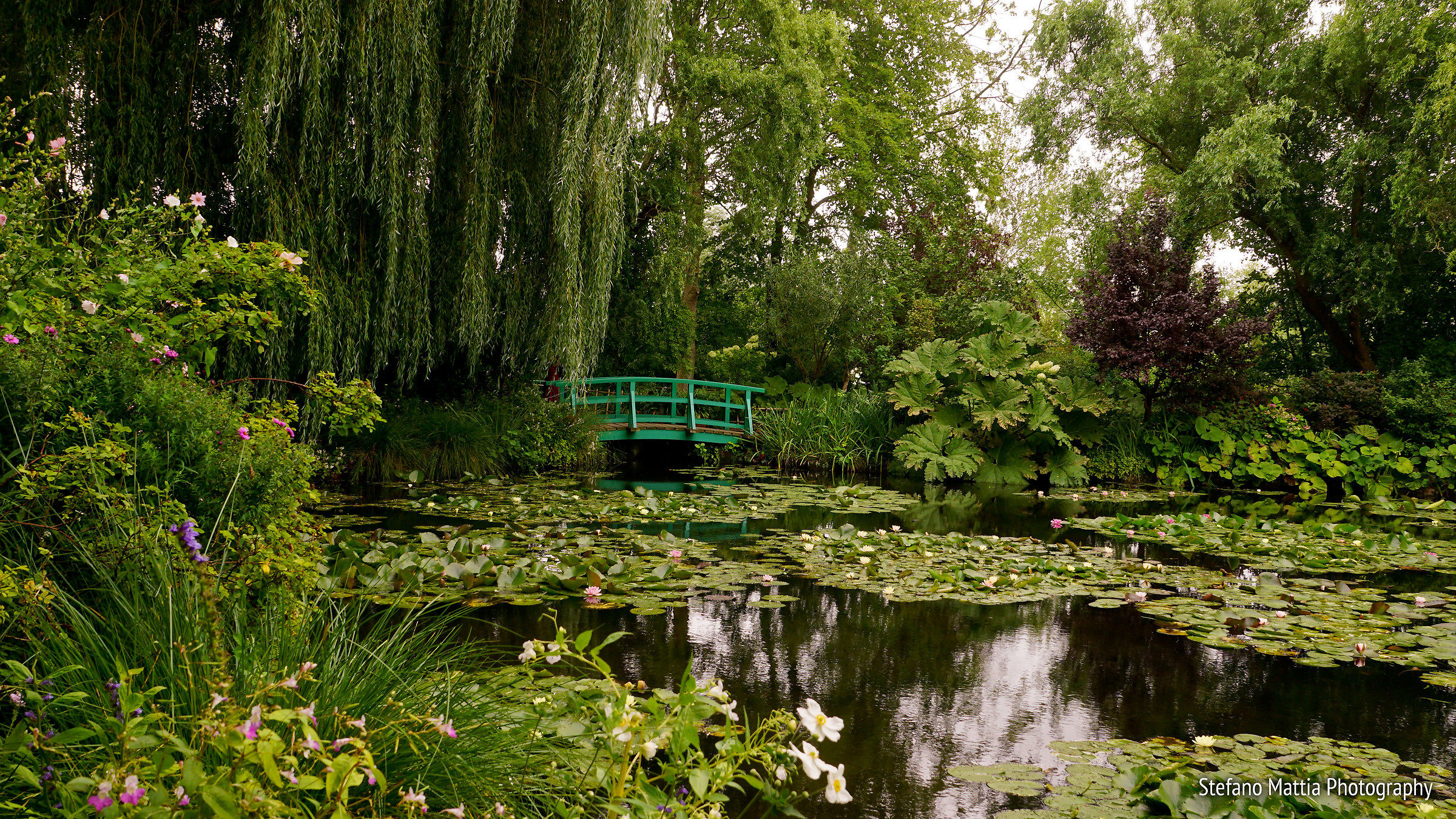 Monet's gardens