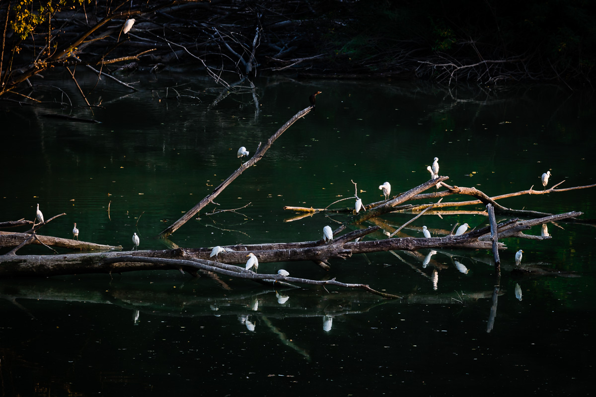 Assemblea di condominio