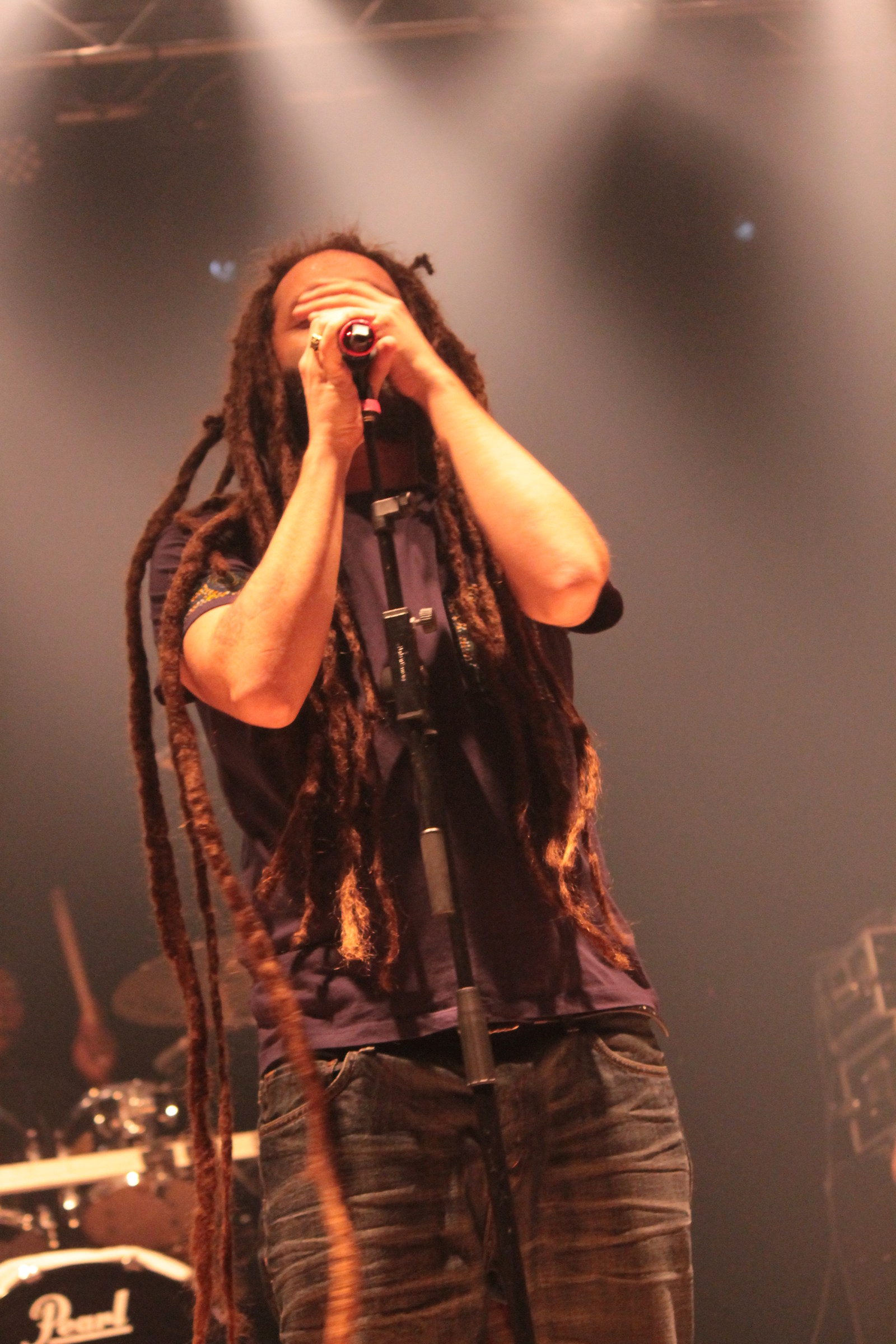 Alborosie liveVenaria Royal