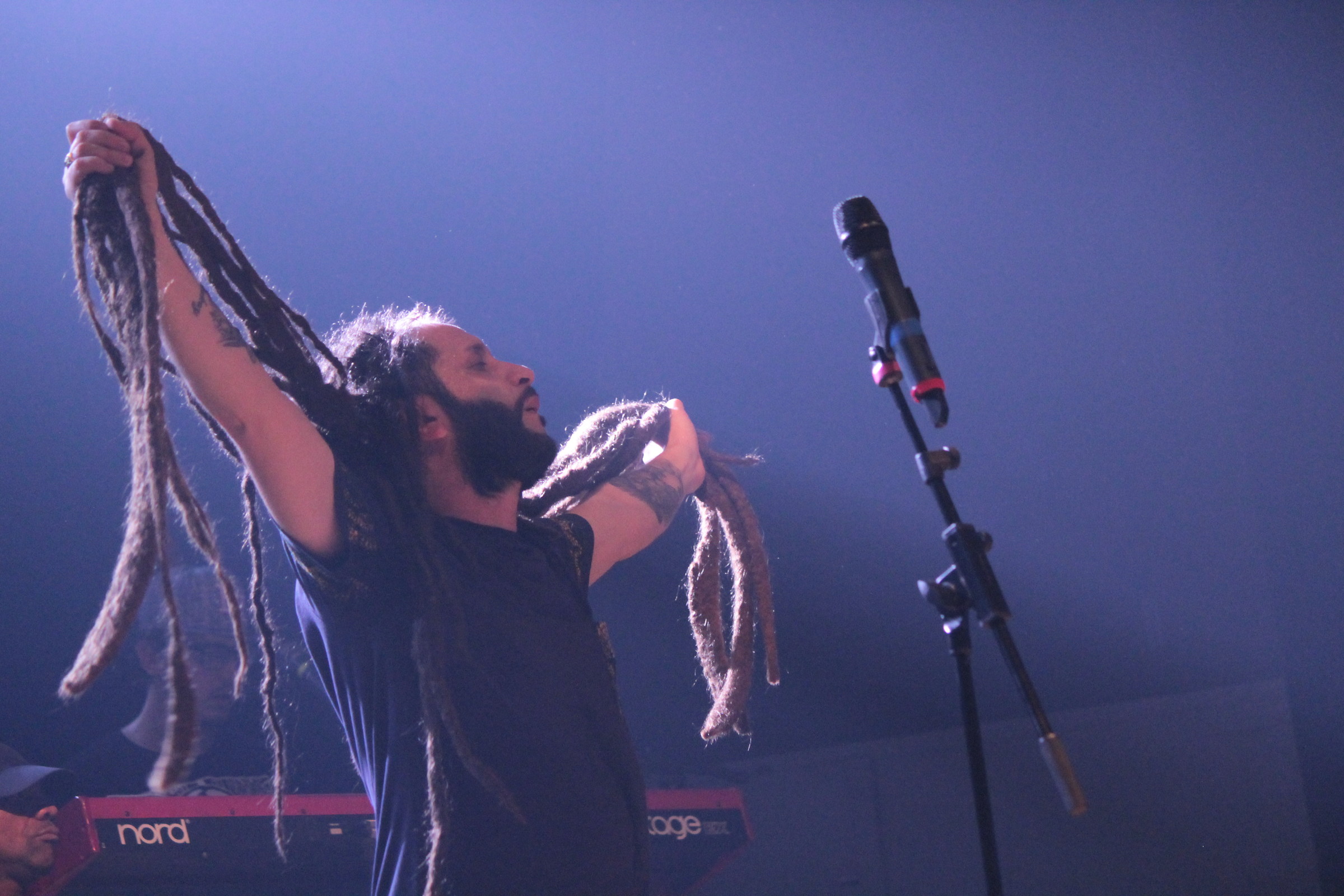 Alborosie liveVenaria Royal