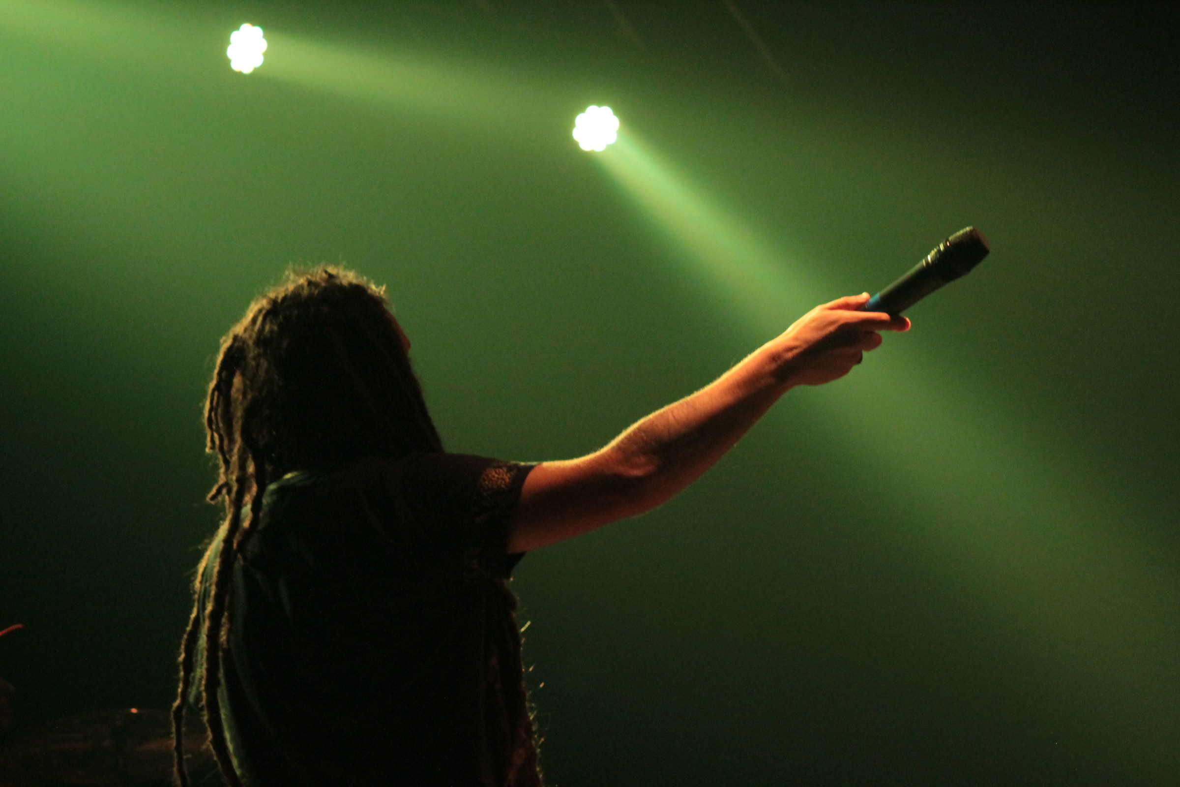 Alborosie liveVenaria Royal