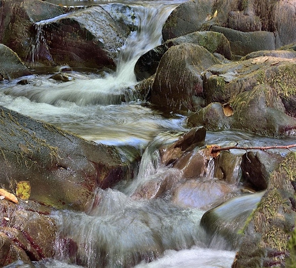 Among the waters of Camaldoli