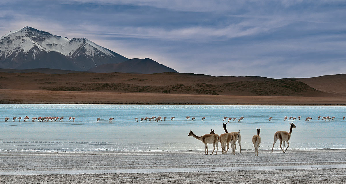 laguna honda Bolivia