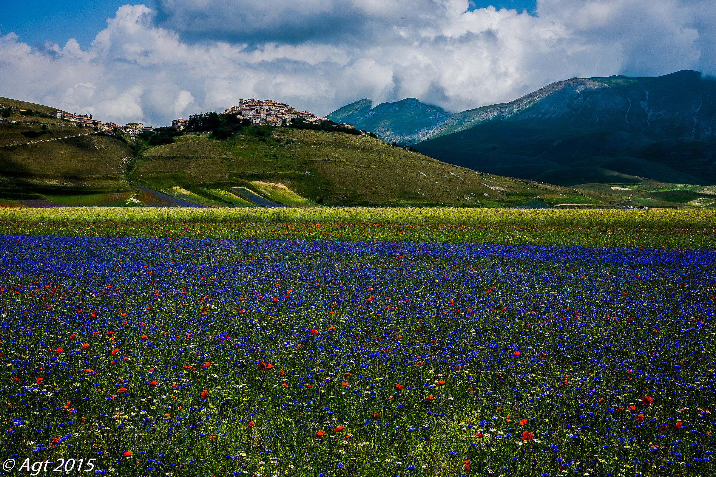 Semplicemente Castelluccio!!