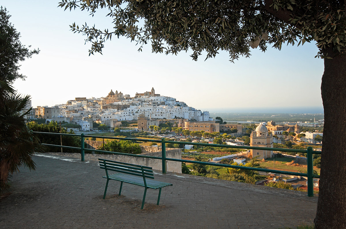 Overview of the Old Town