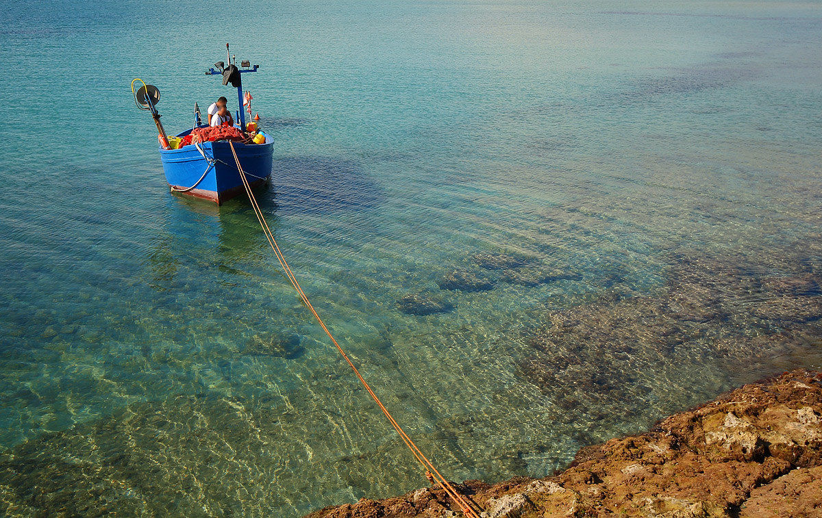 Maintenance of networks