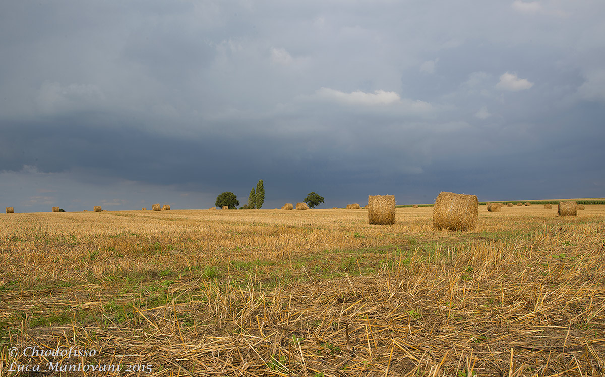 Campagna della Normandia