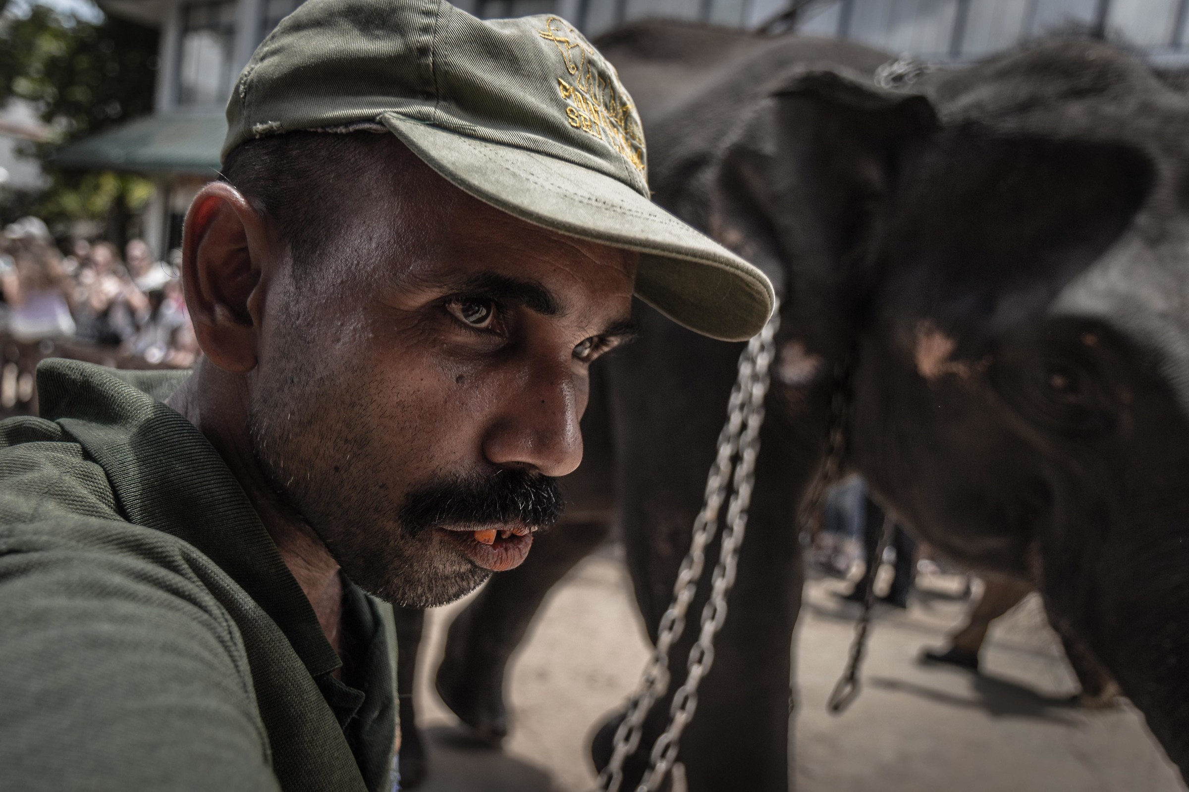 The Gaze of the master