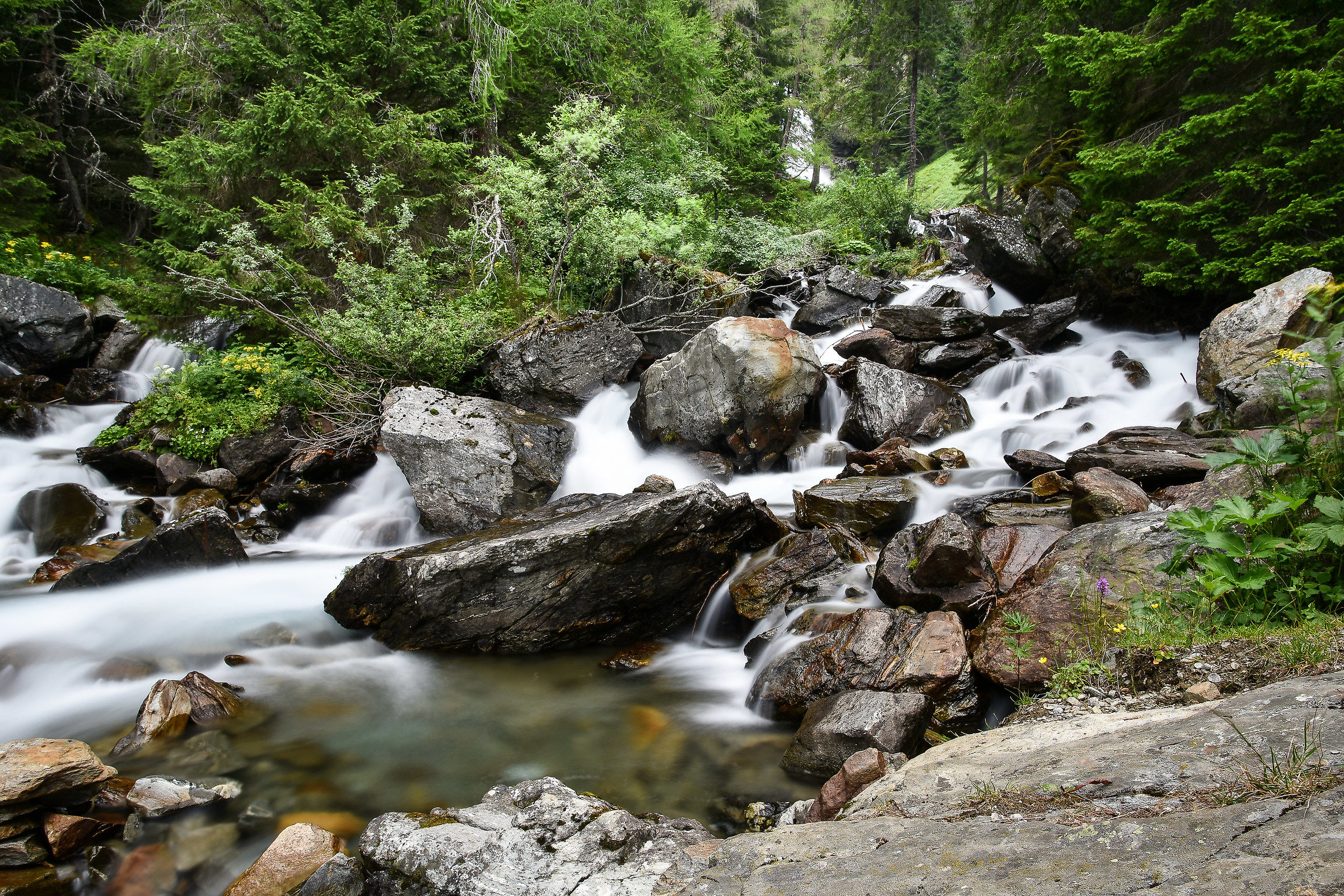Torrente Rabbies Val di Rabbi
