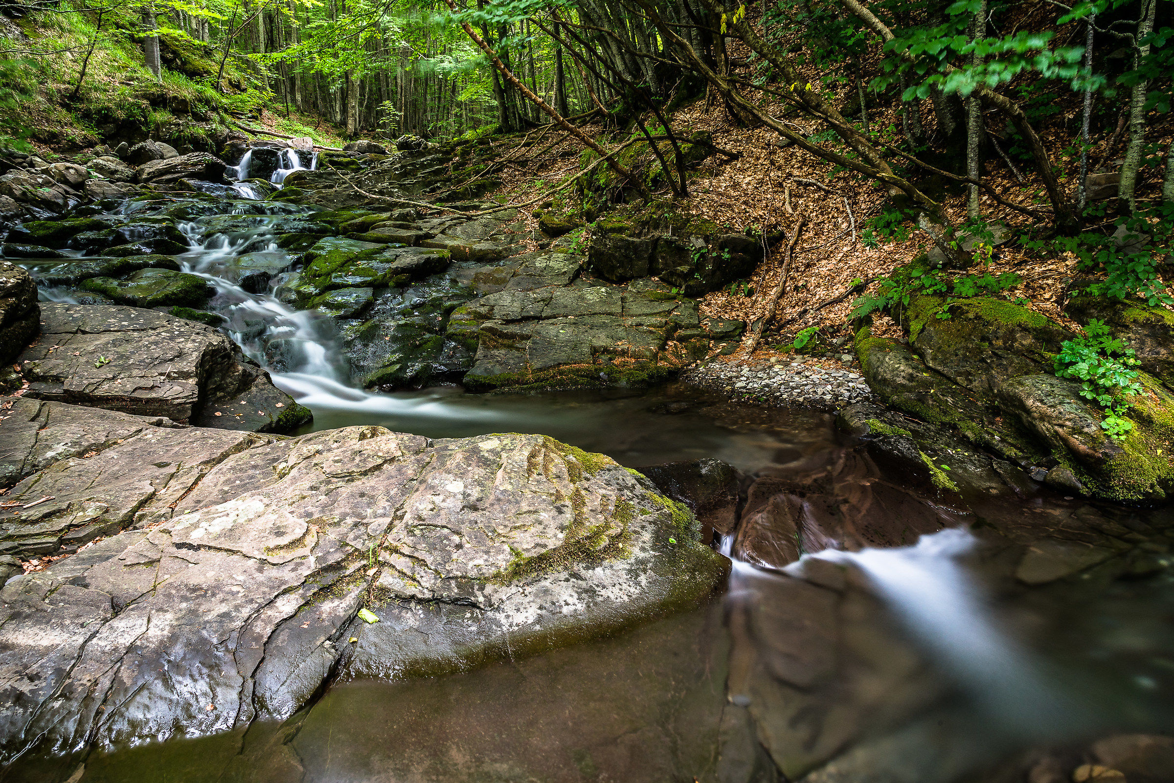 Torrente Leo - Fellicarolo (Appenino Modenese)