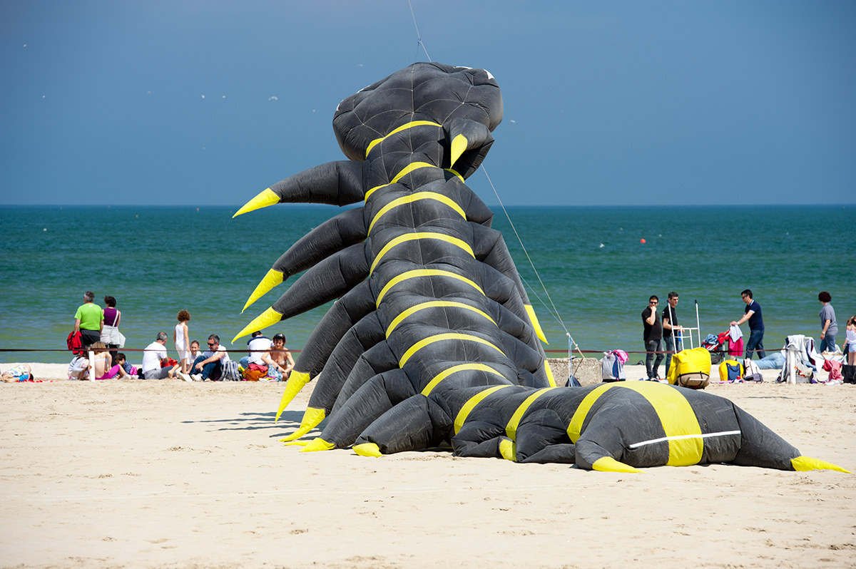Aquiloni. ..Cervia manifestazione internaionale