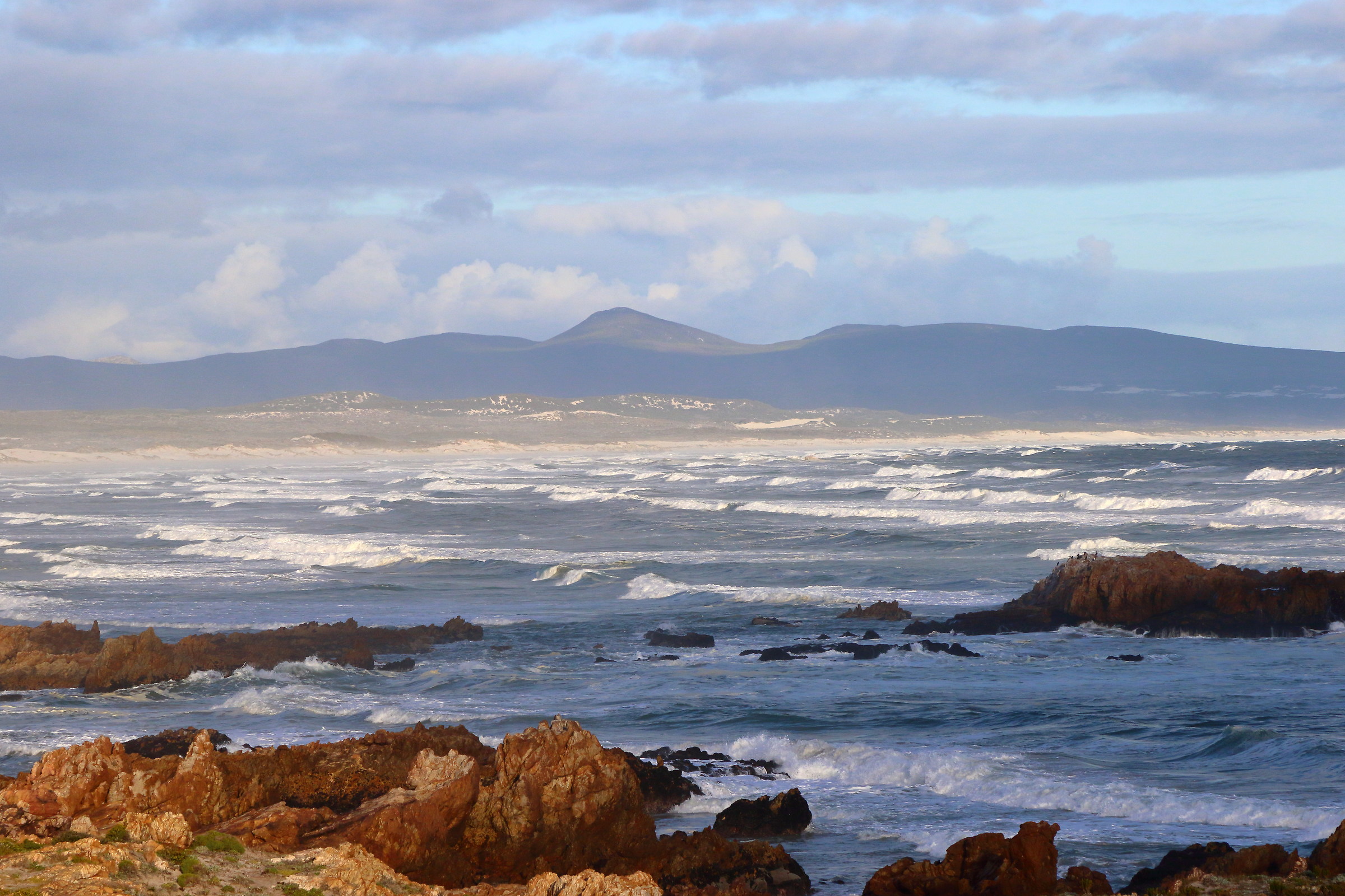 Bay of Hermanus